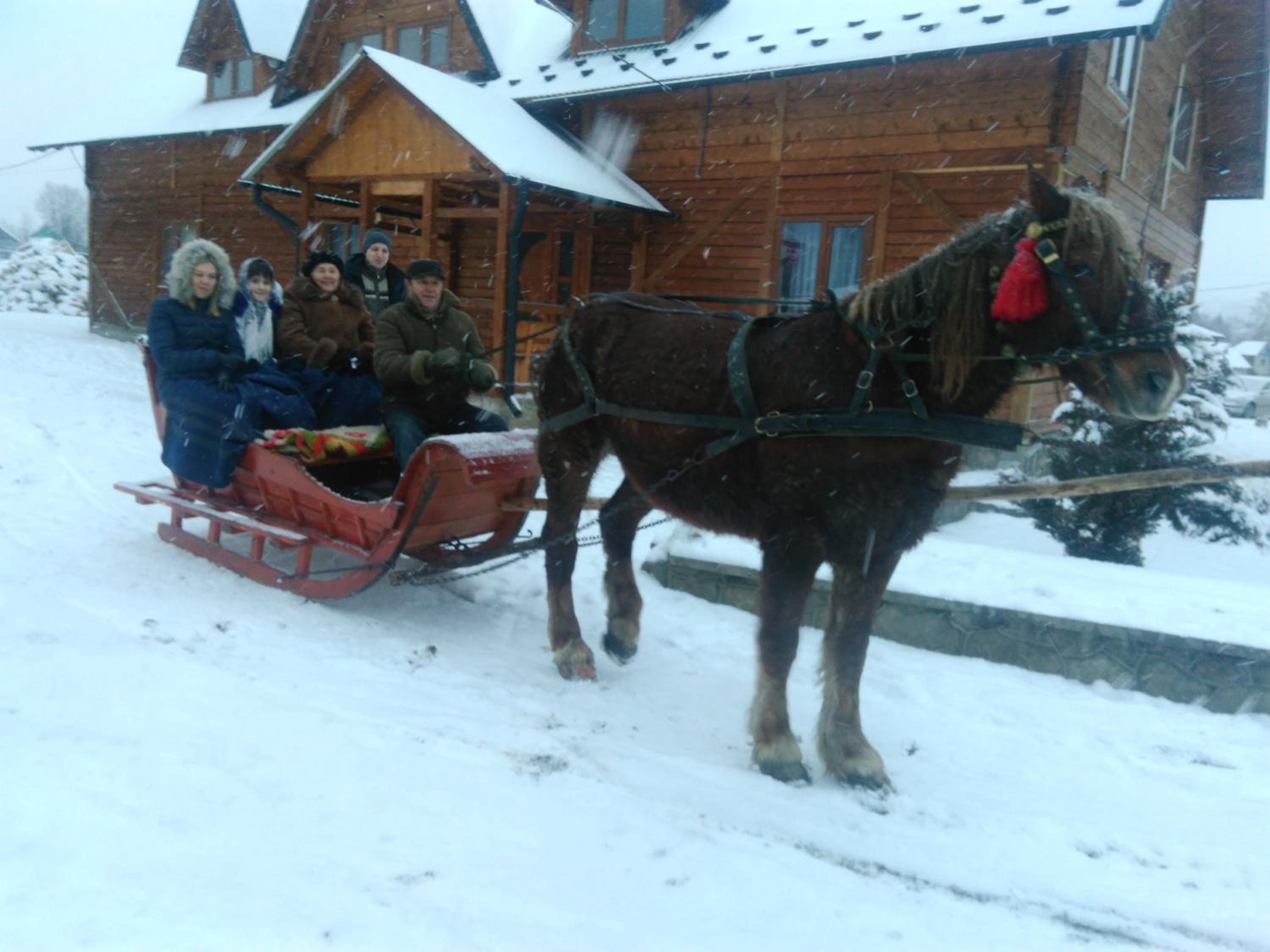 Kosmatska pusanka
