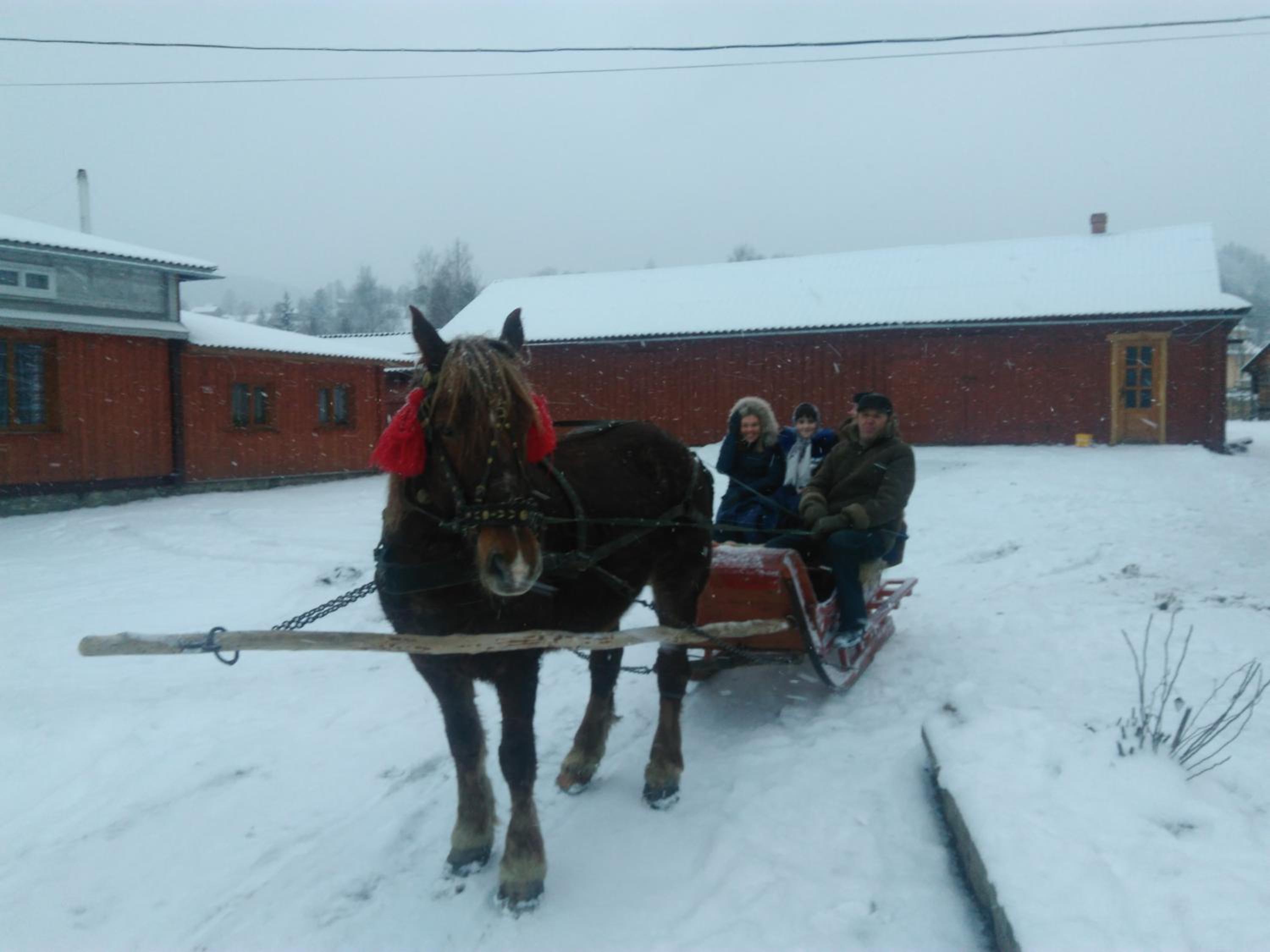 Kosmatska pusanka