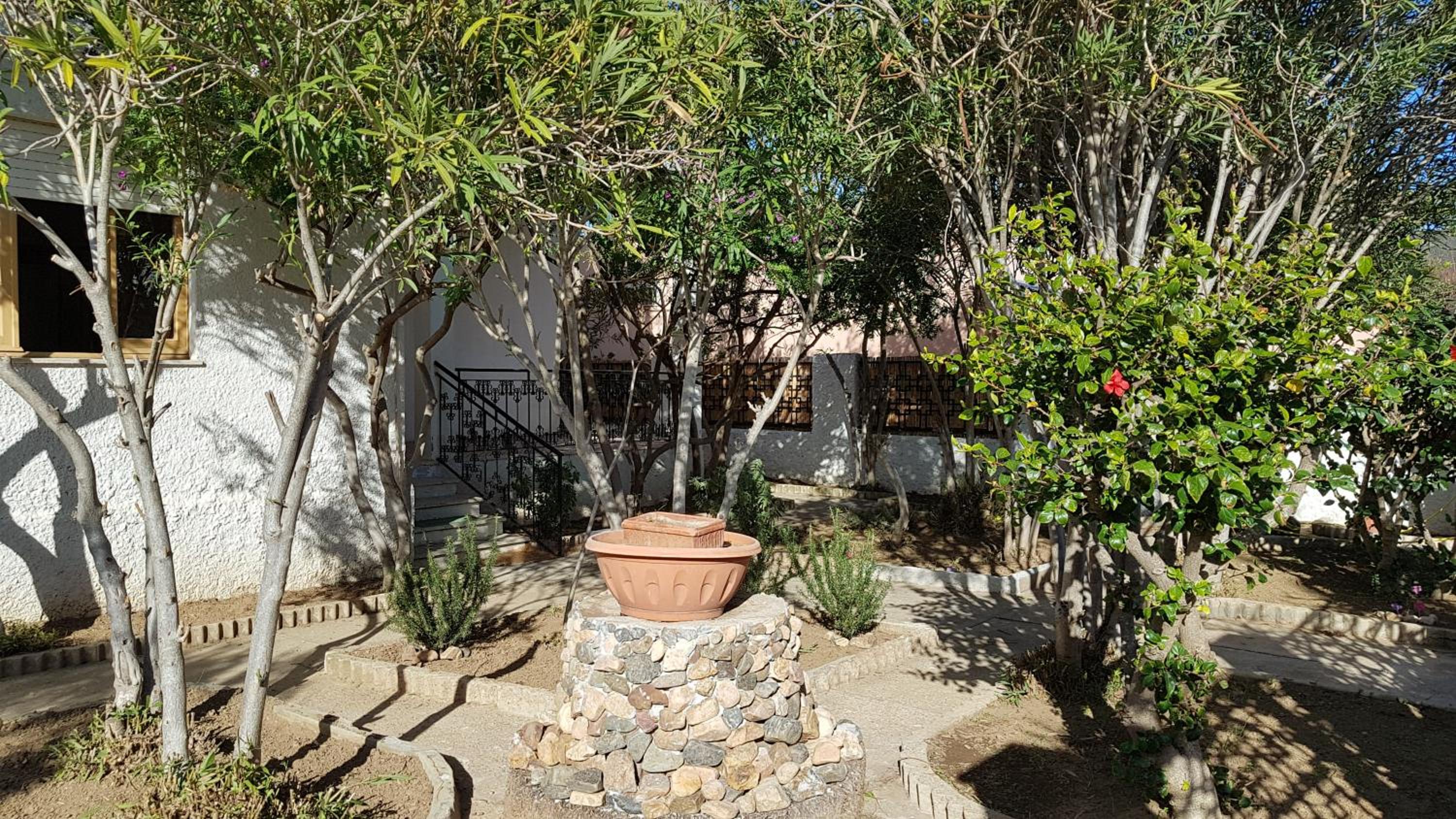 Photo 22
