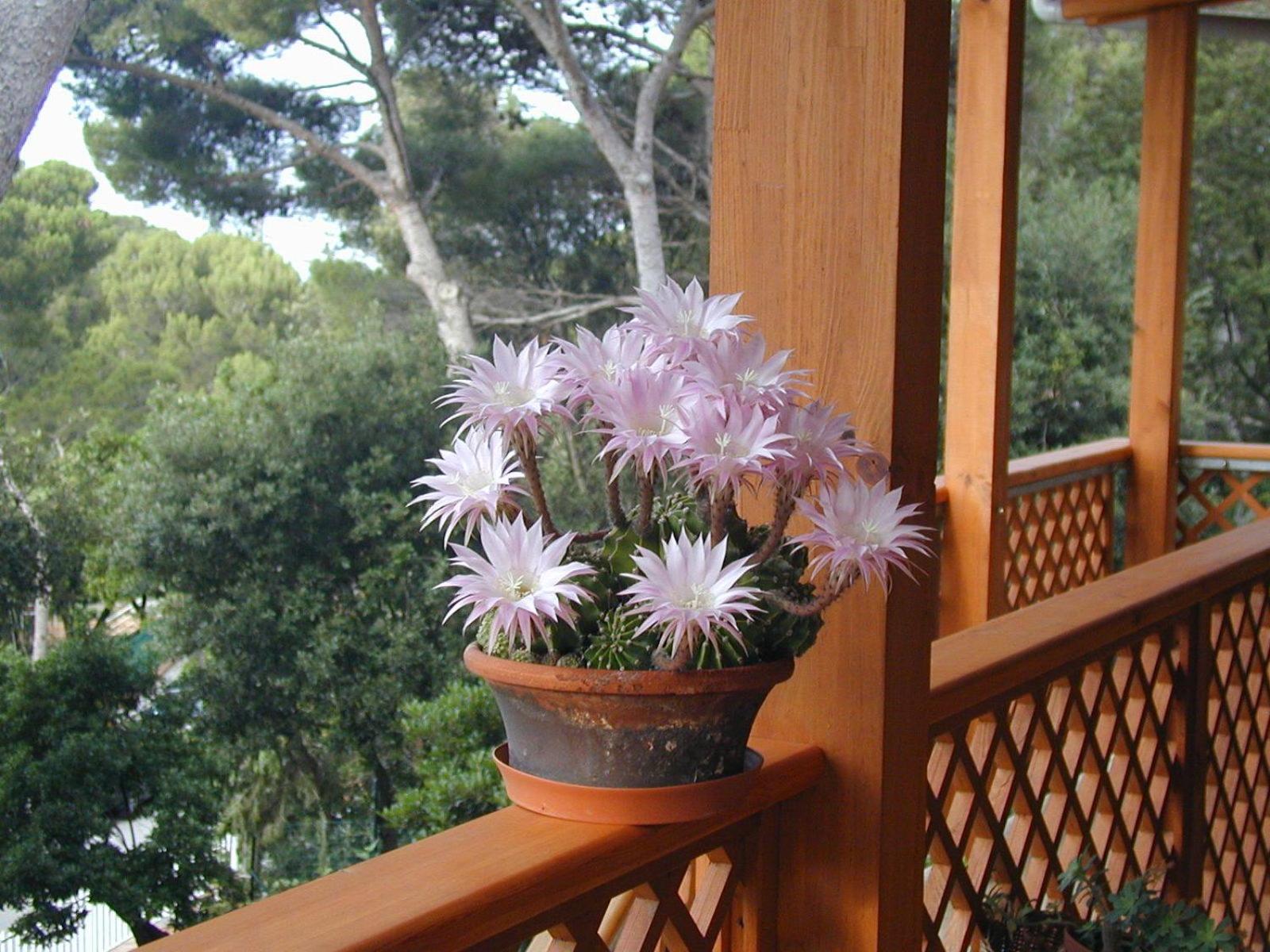 La Casa di Ulisse B&B photo 4