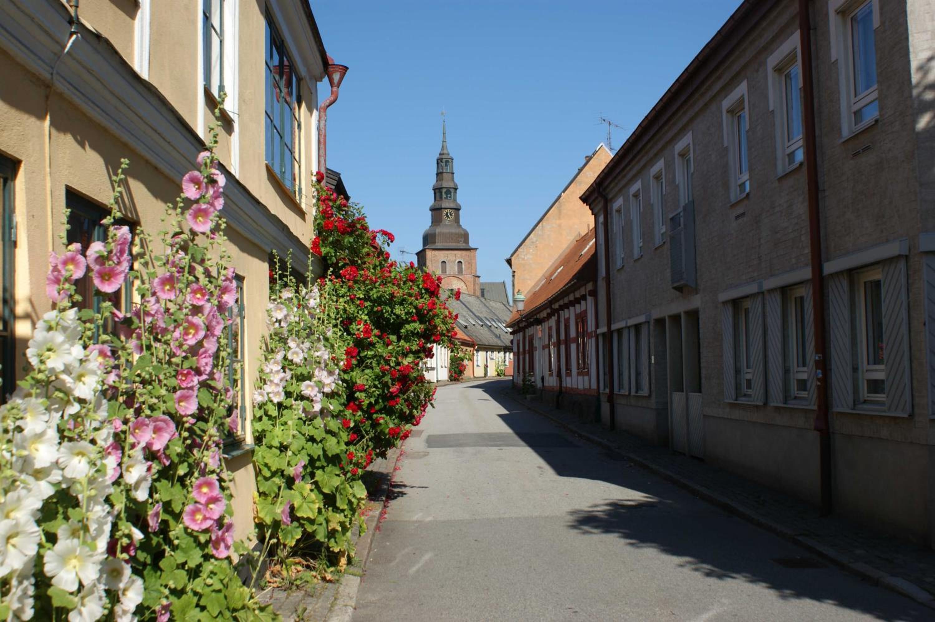 Photo 13