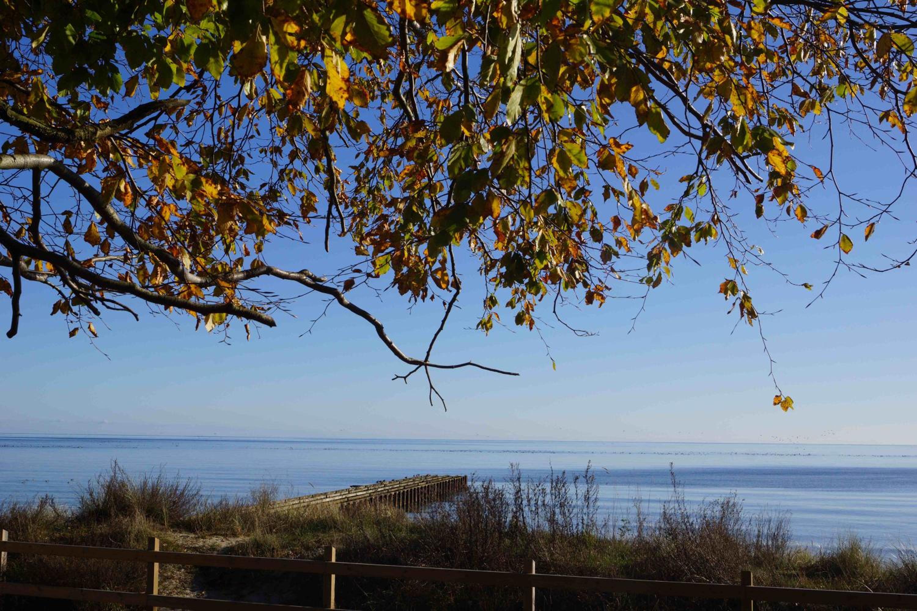 Ystad Camping view 2