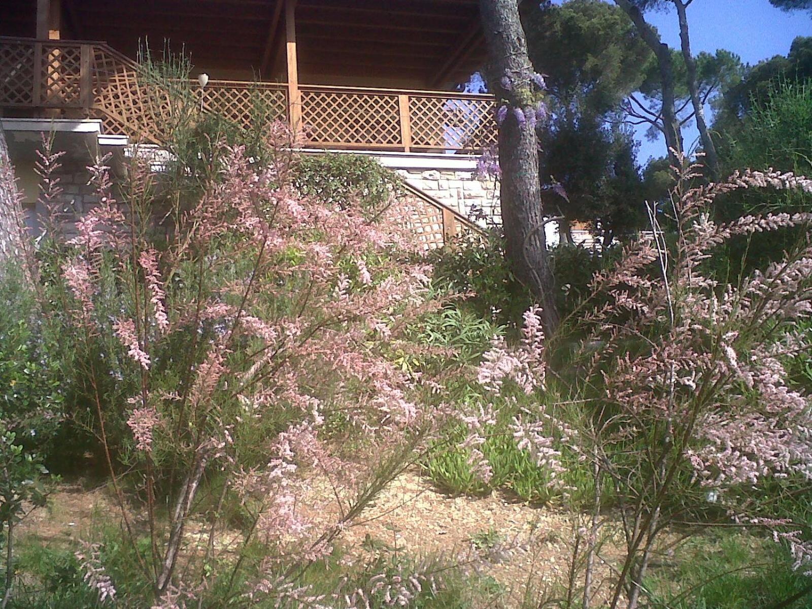 La Casa di Ulisse B&B photo 5