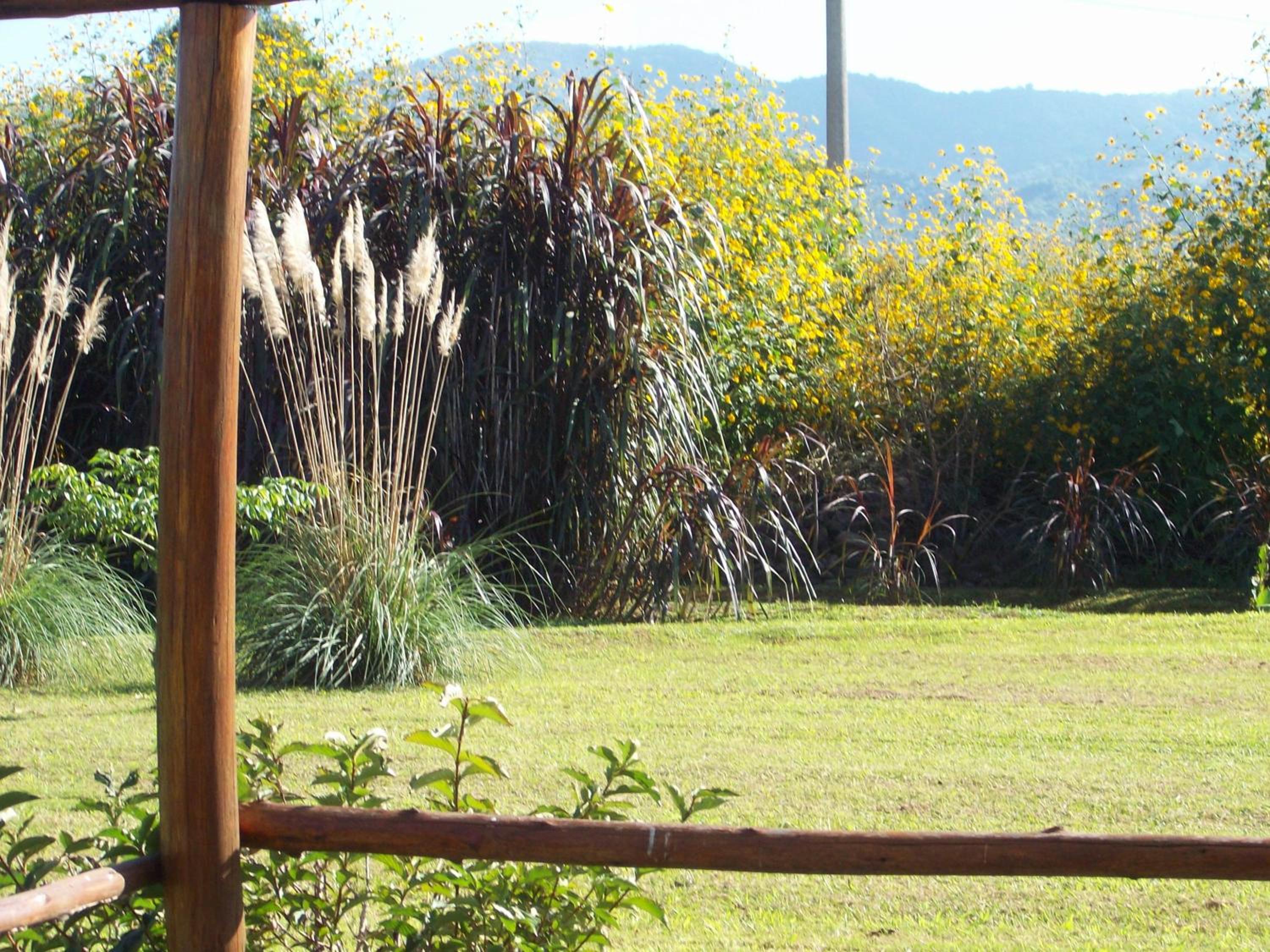 Finca La Vertiente