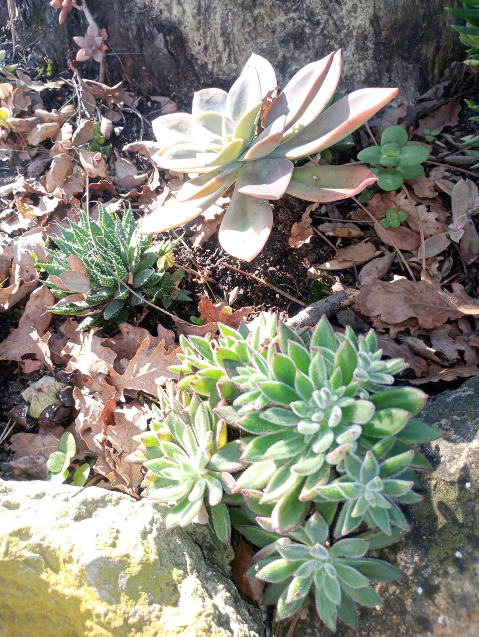 Photo 48
