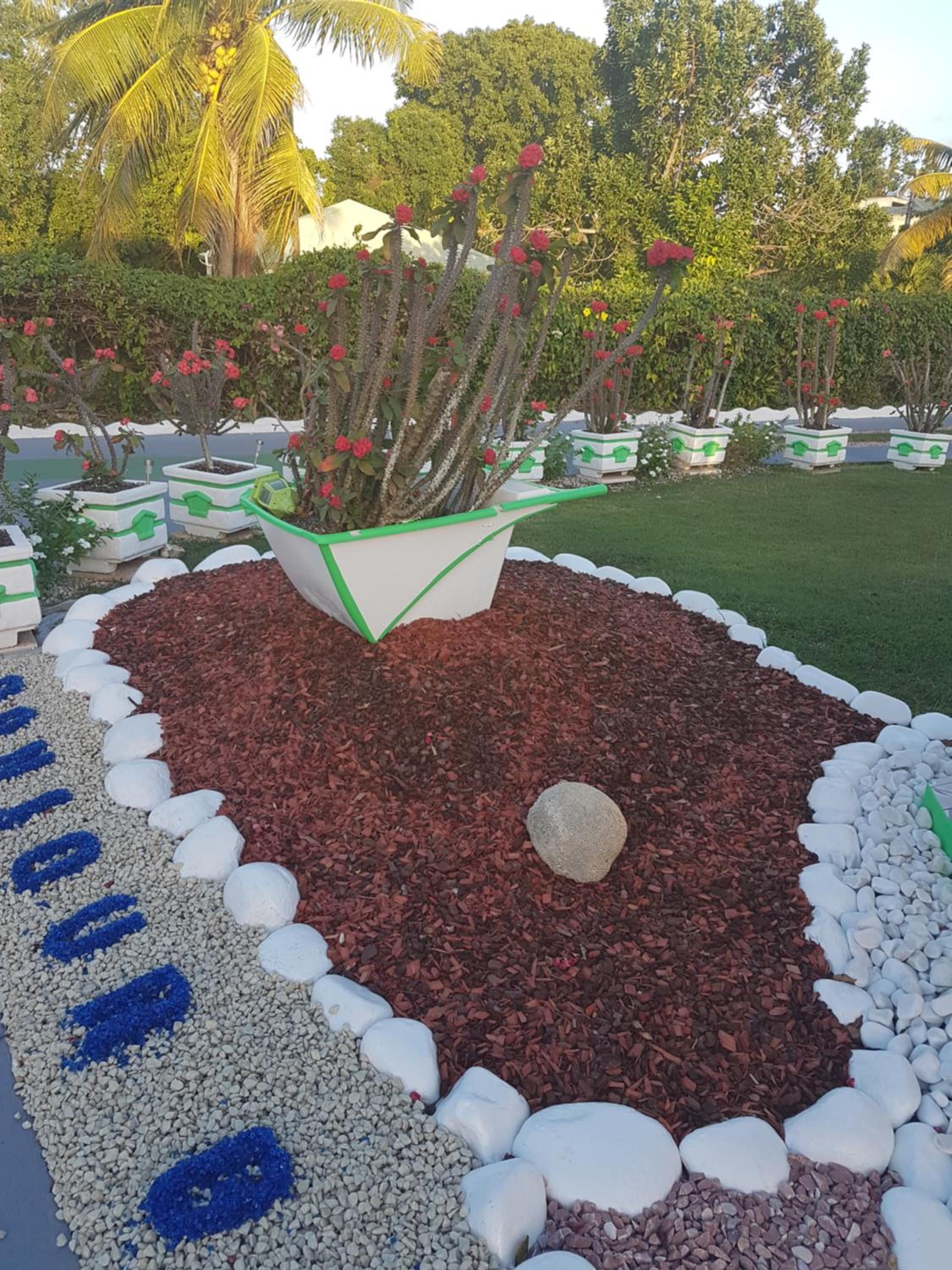 Photo 16