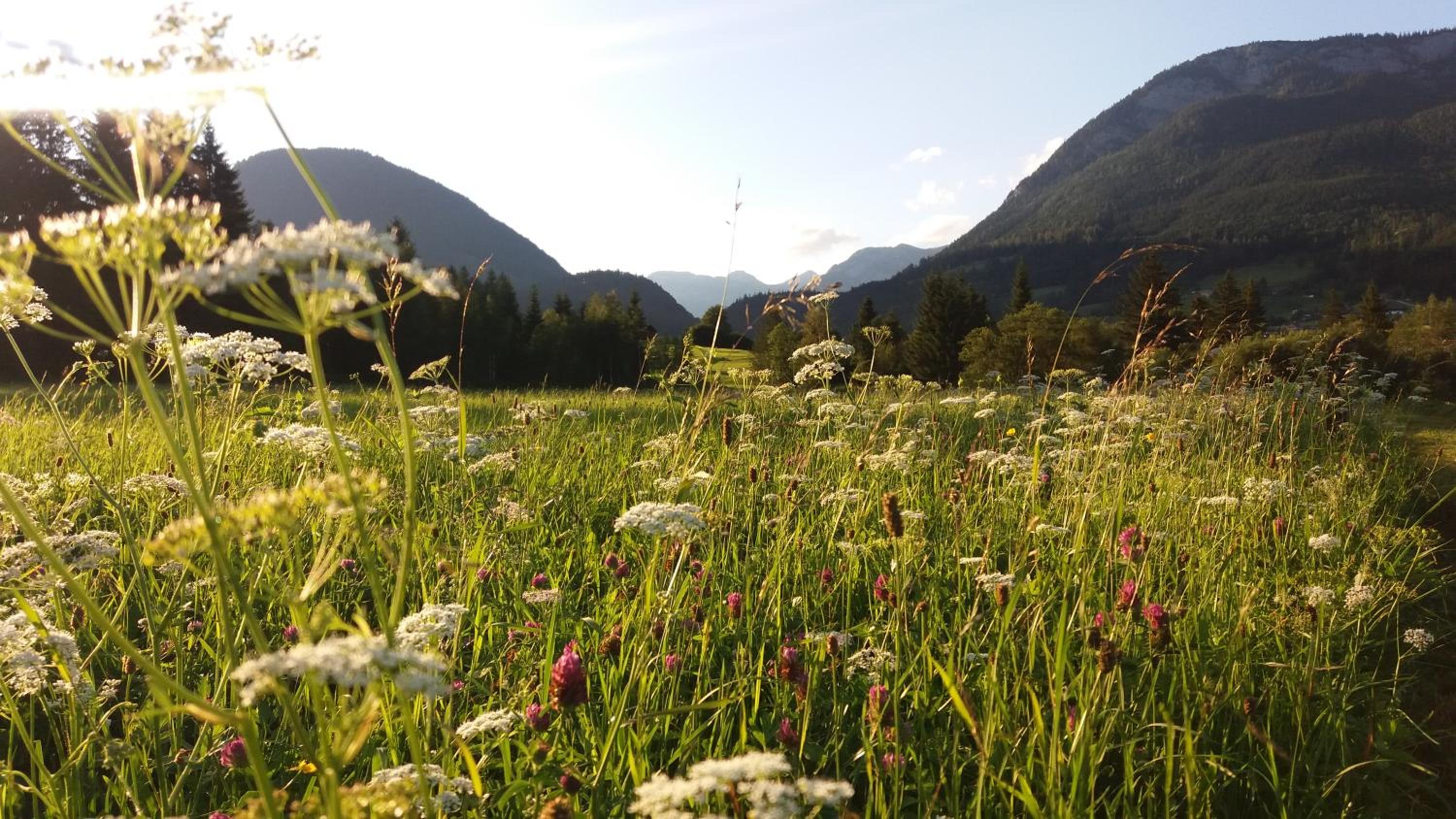 Wagnerhof