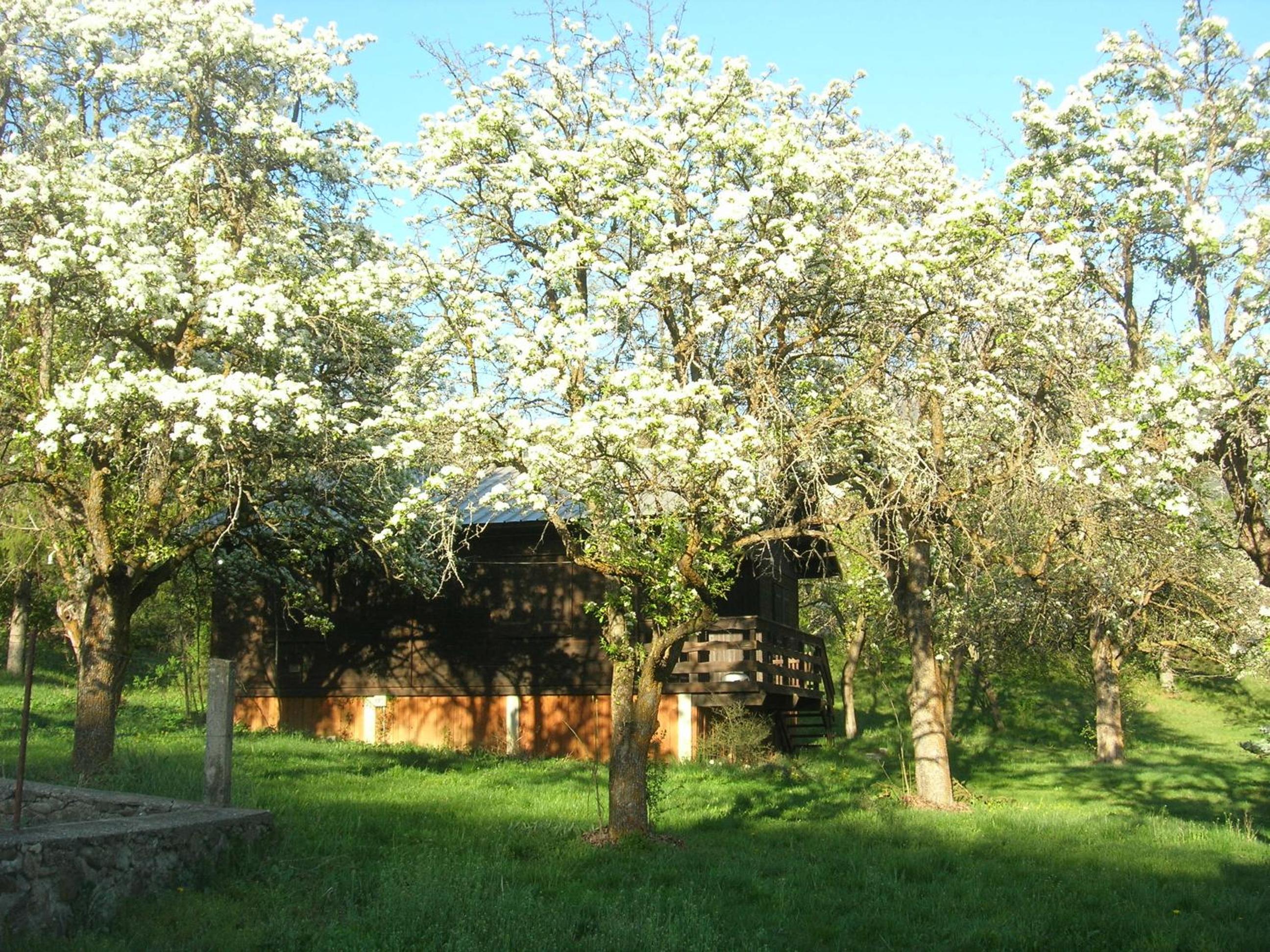 Photo 25