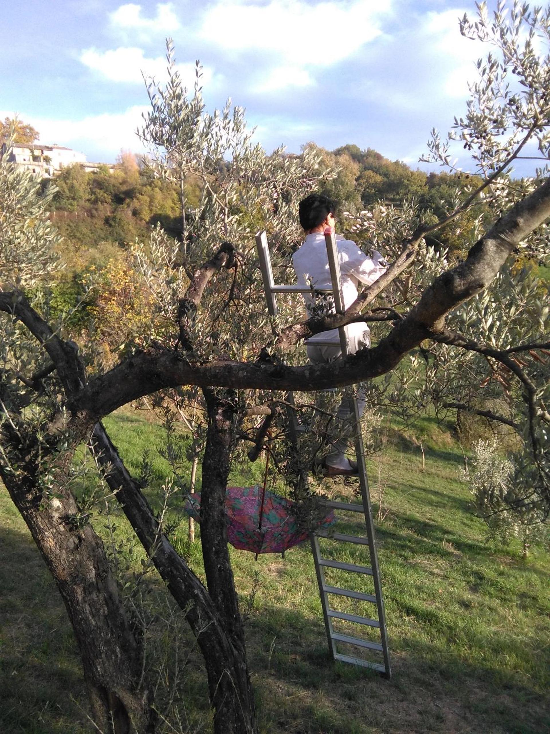 La Casetta dei Sogni, photo 11