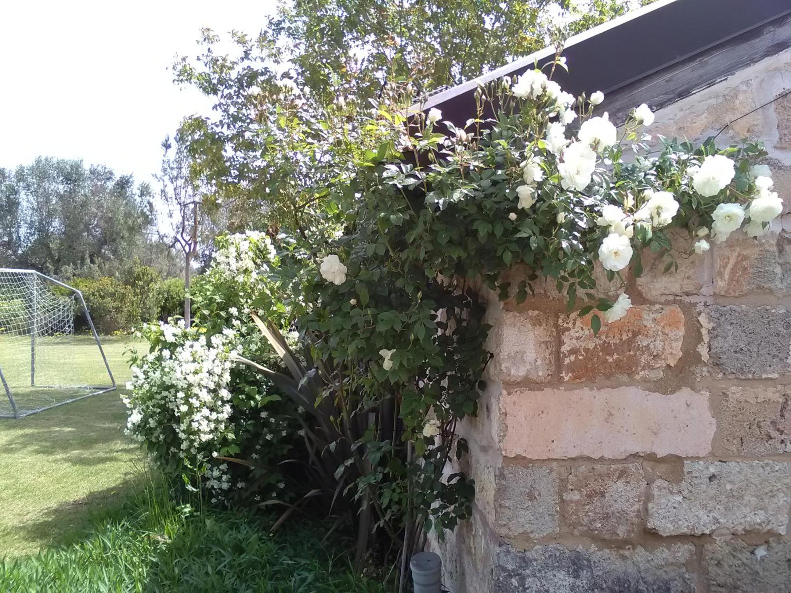 Photo 40