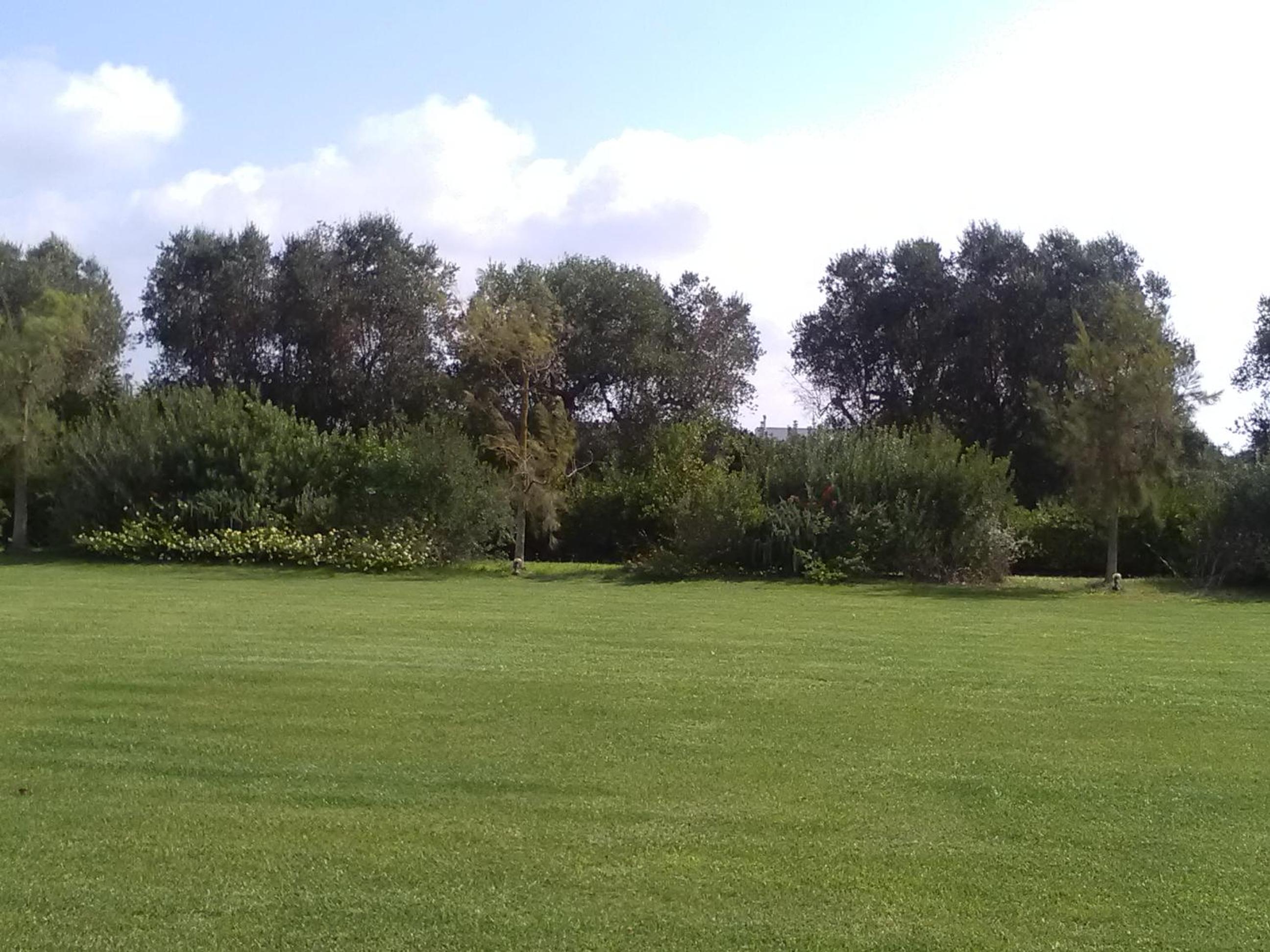 Photo 38
