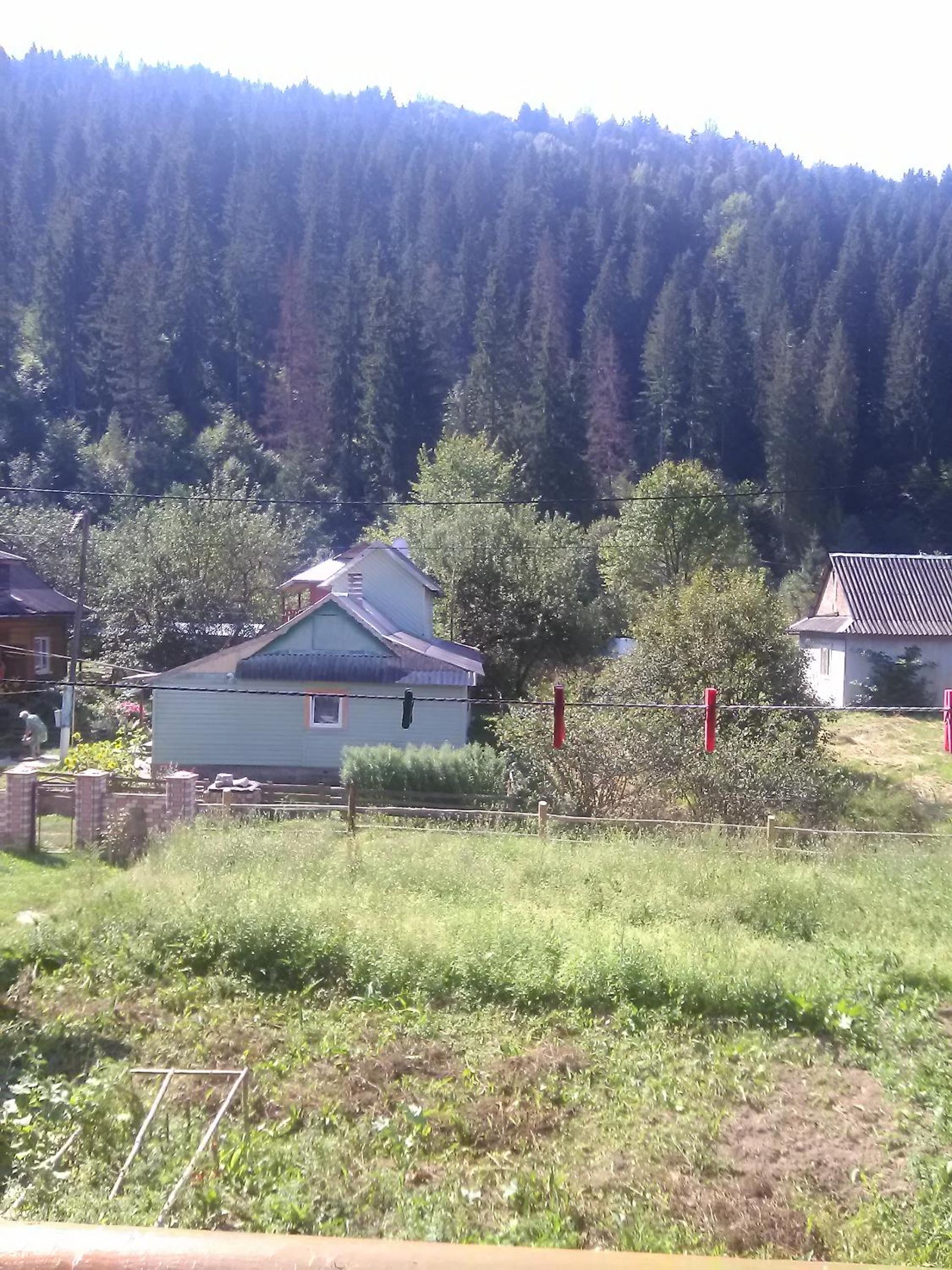 Yablunevyi Tsvit