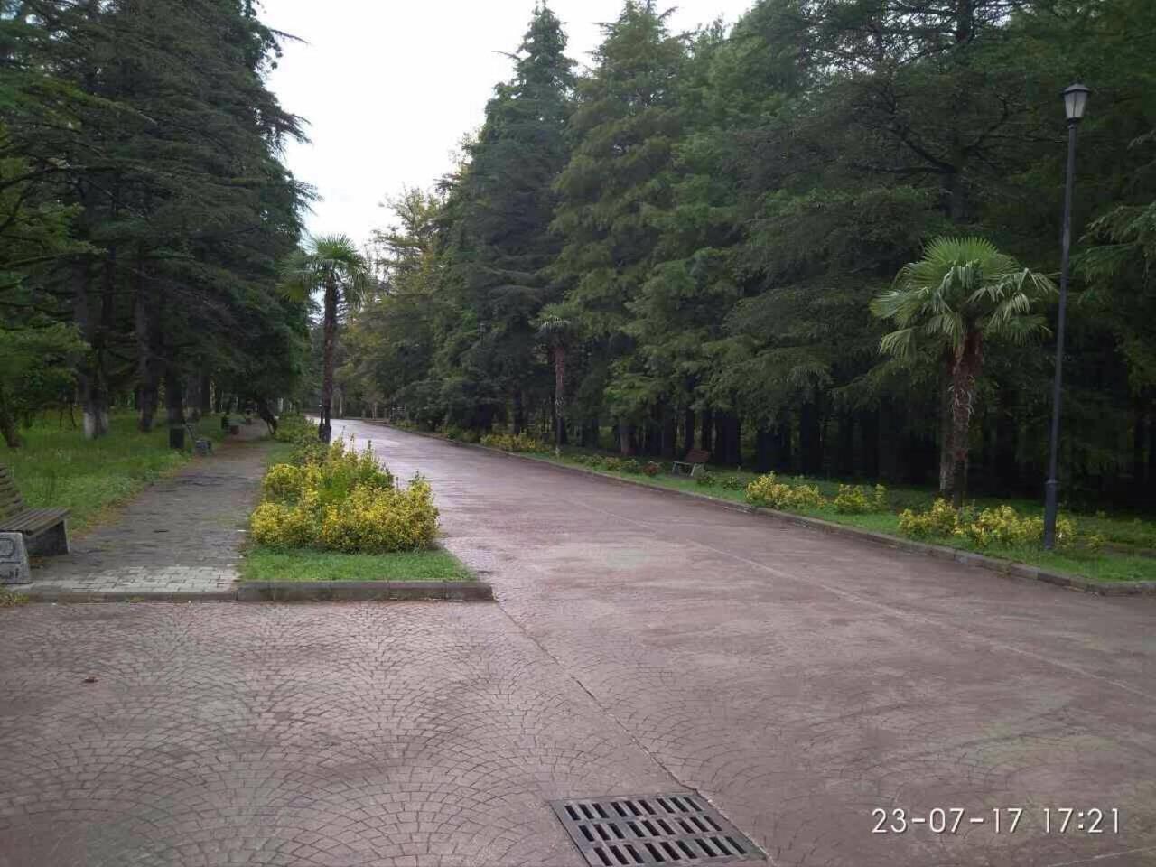 Photo 25