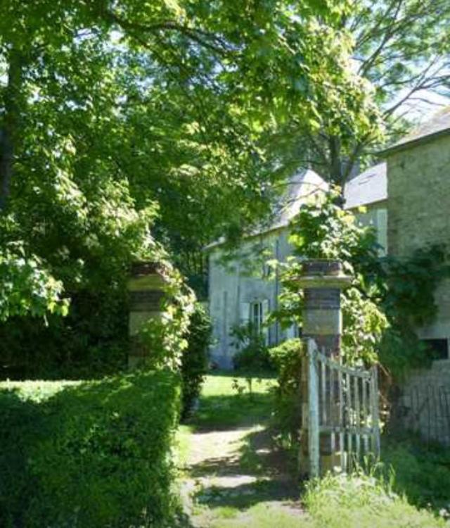 Photo 15