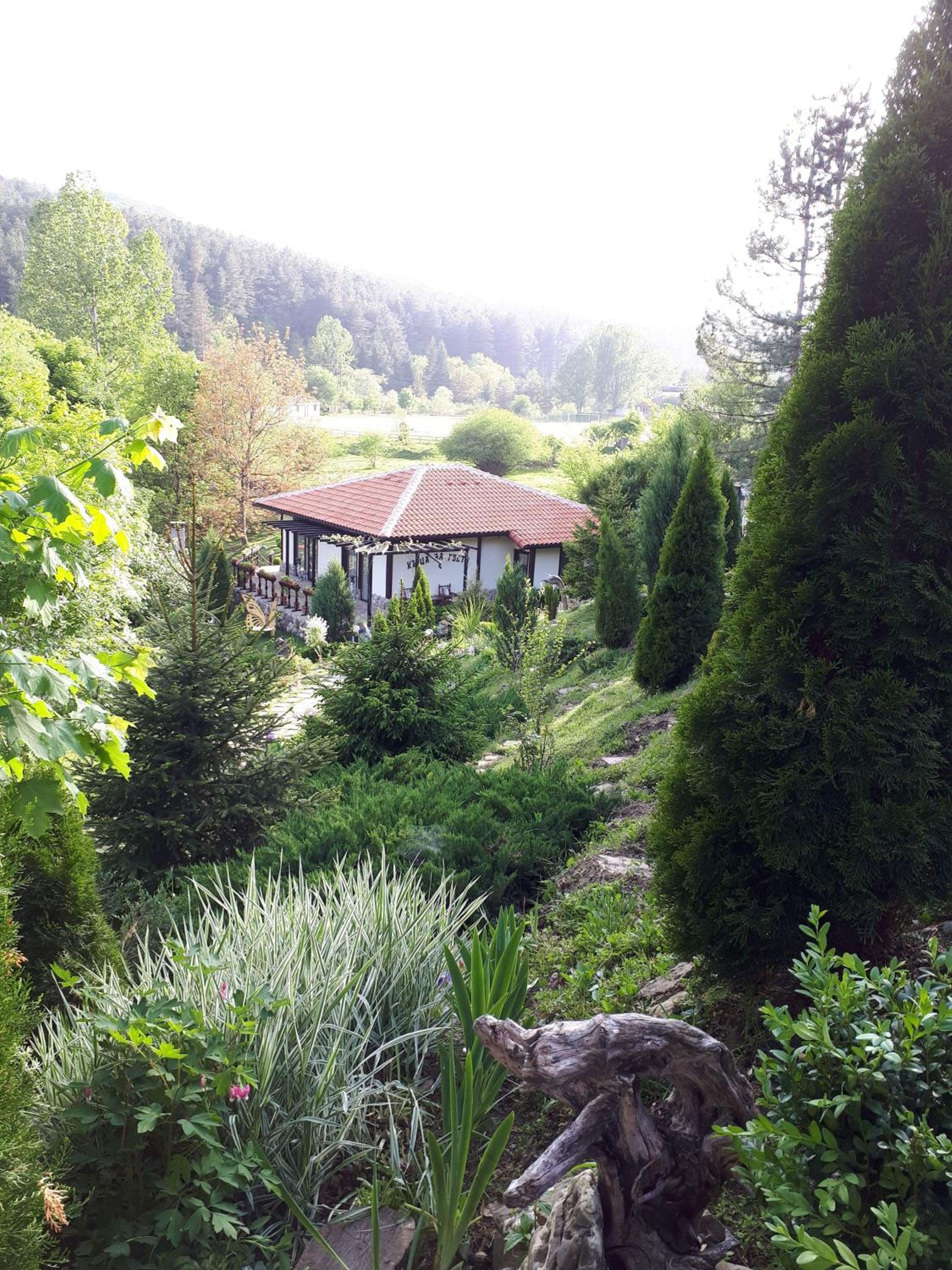 garden
