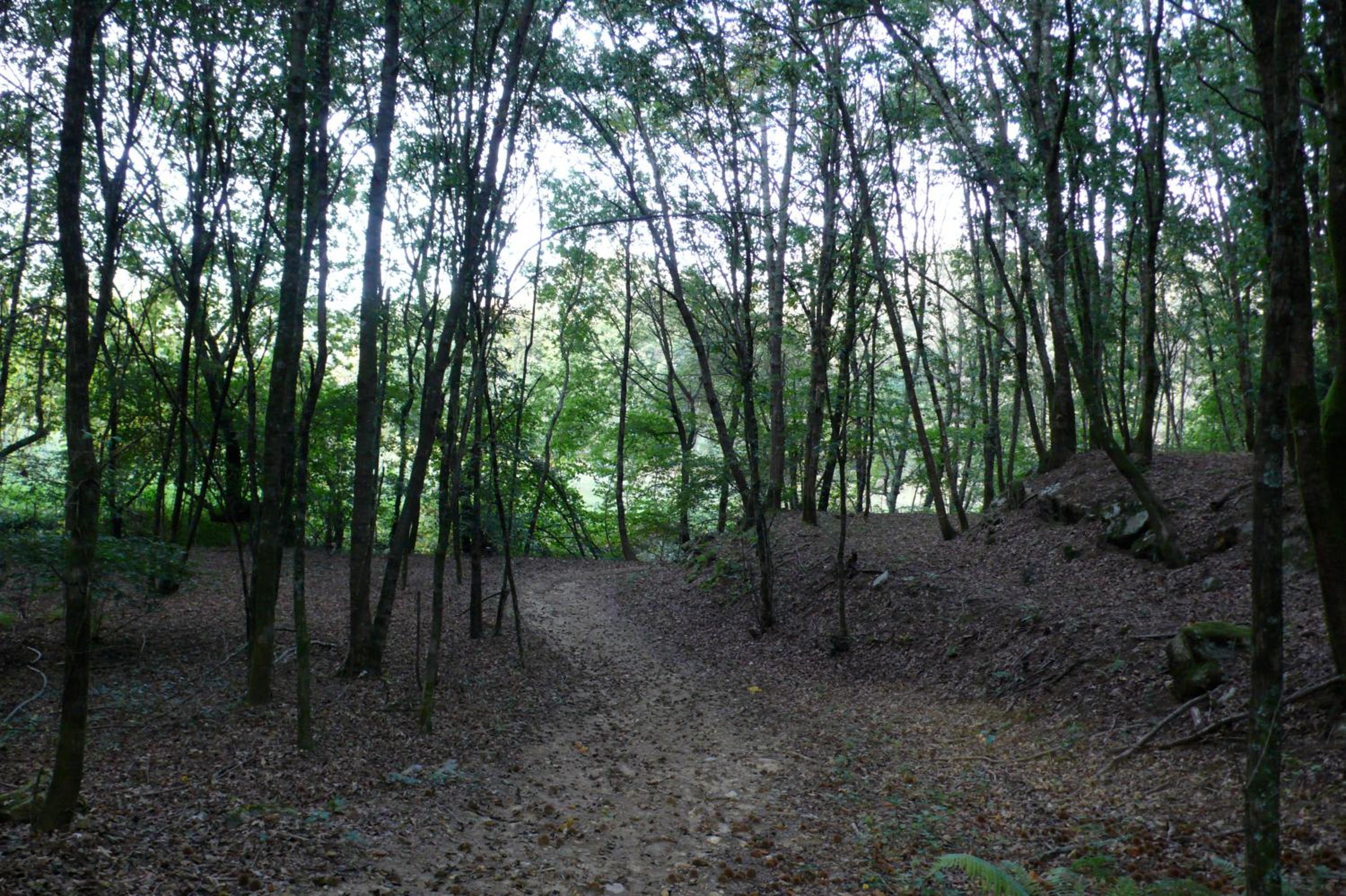 Photo 46