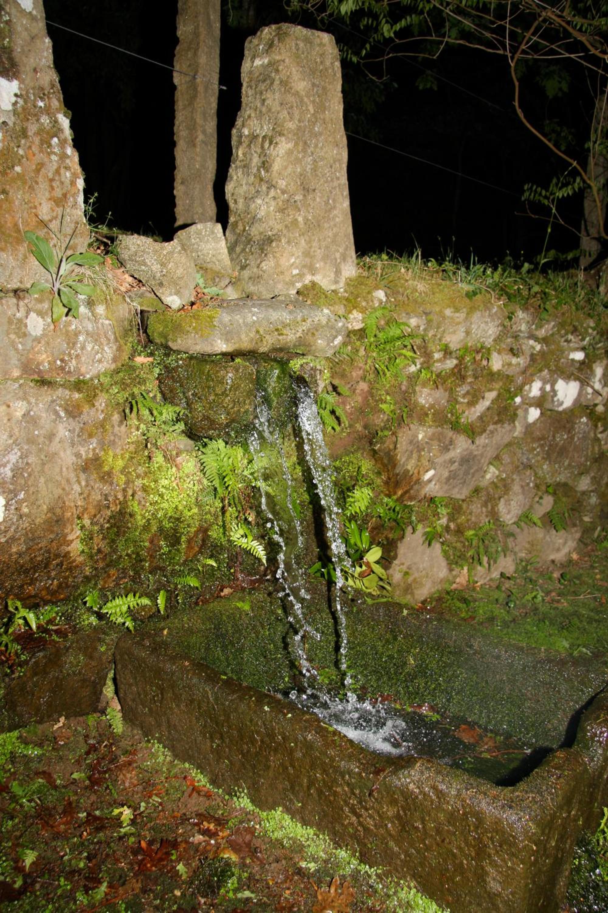 Photo 49