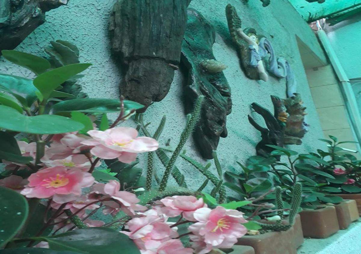 garden