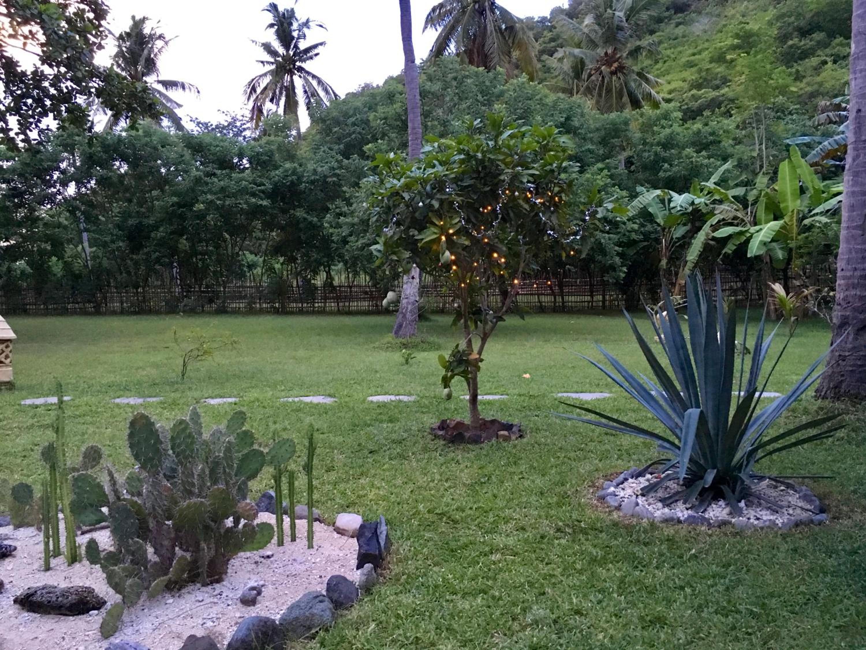 Photo 12