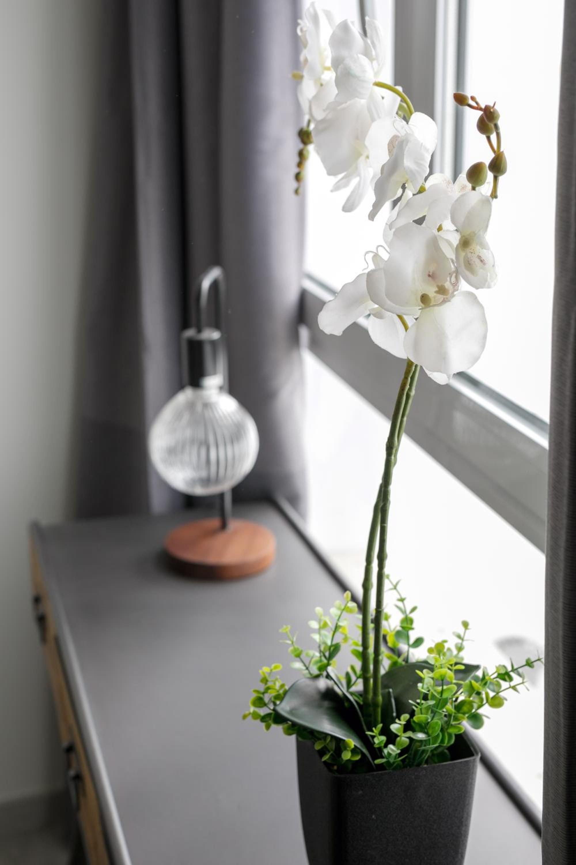 Apartamentos Soho Boutique Museo