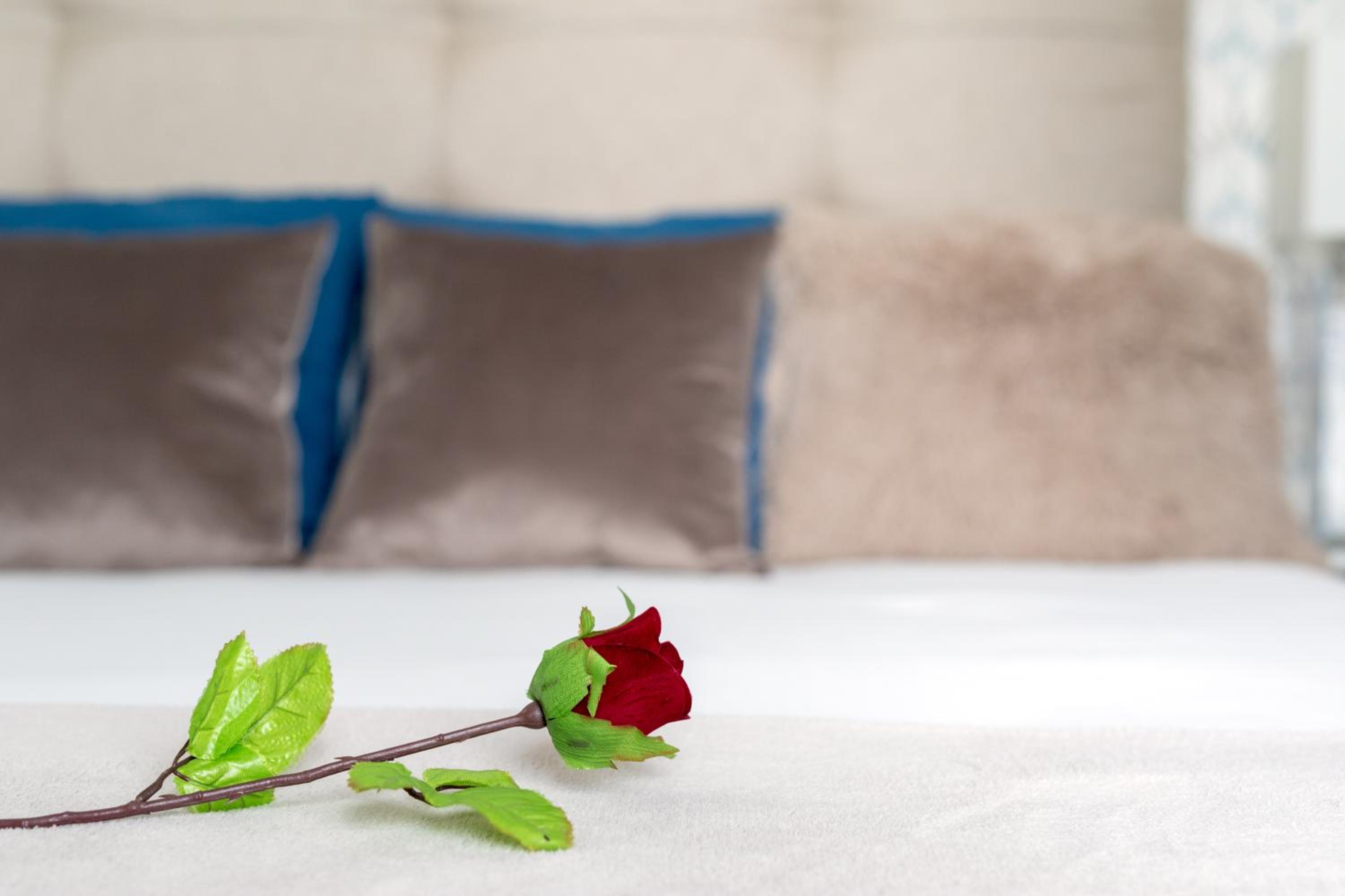 Apartamentos Soho Boutique Museo