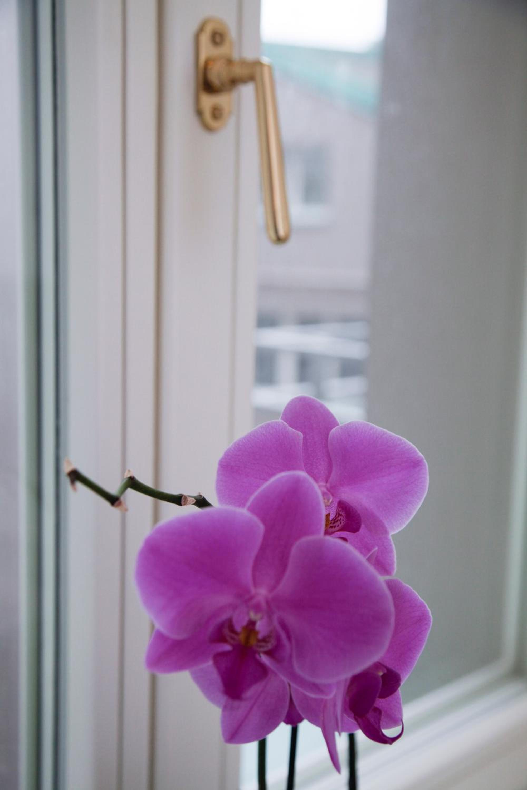Luxury apartment Spálená