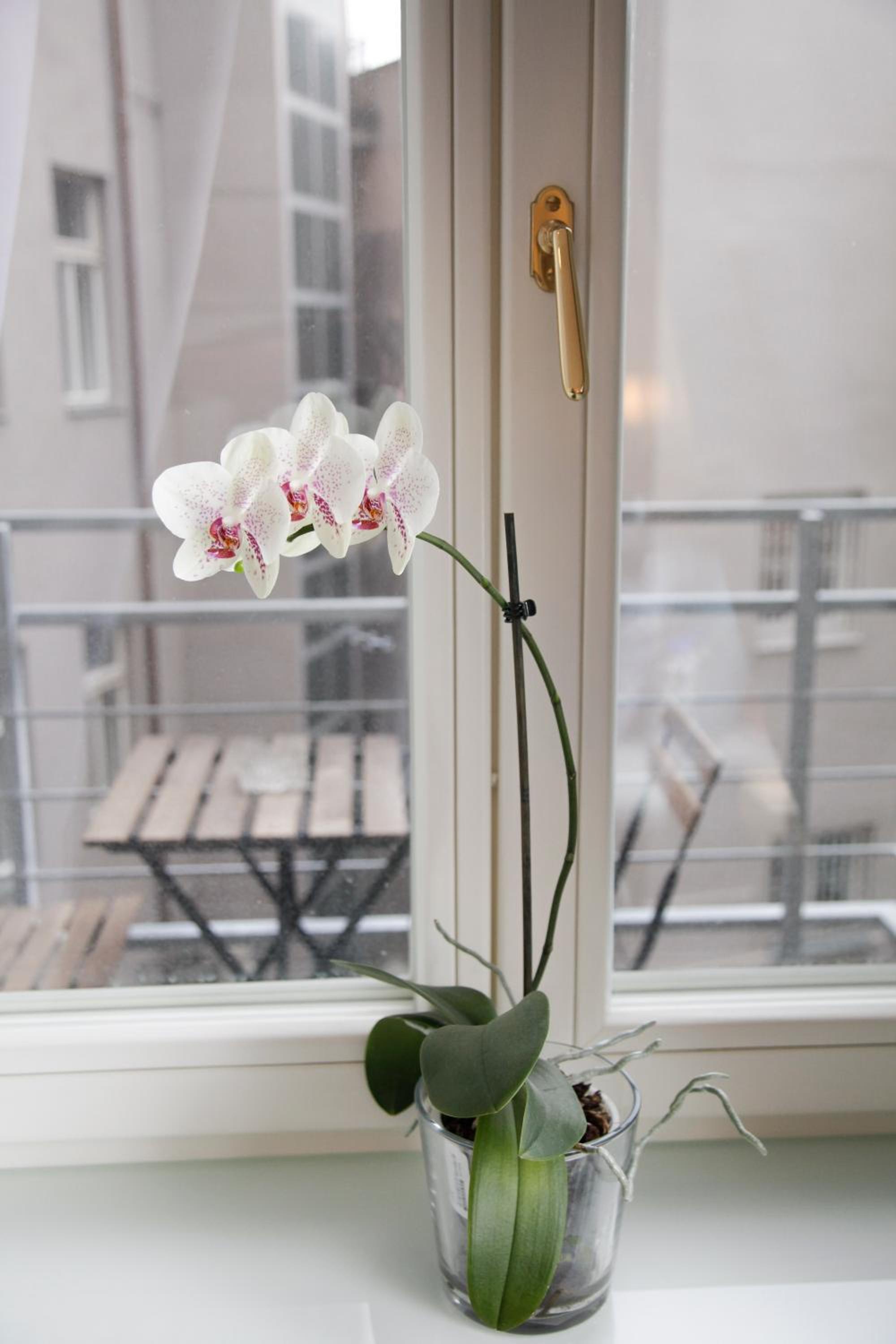 Luxury apartment Spálená