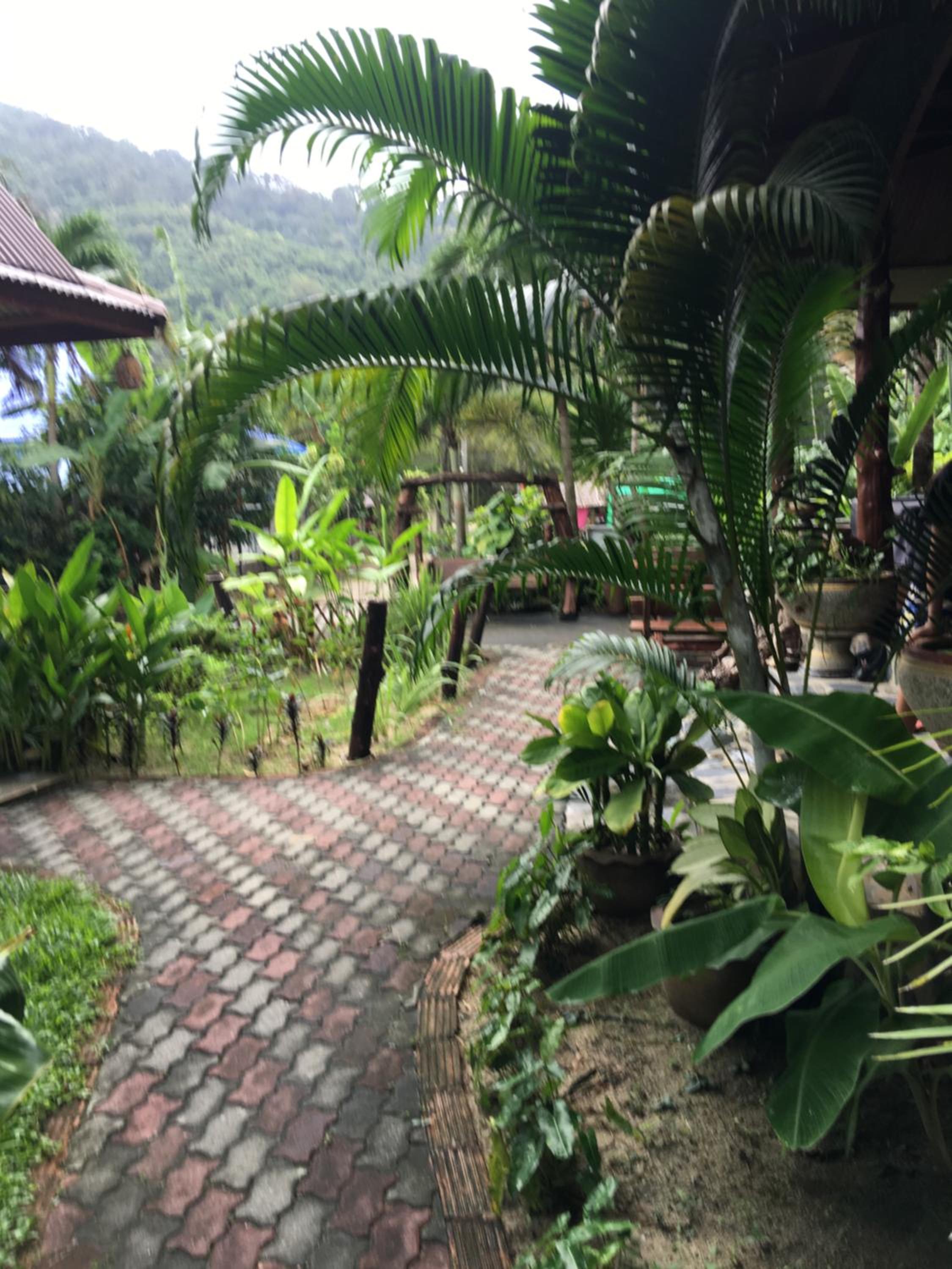 Photo 21