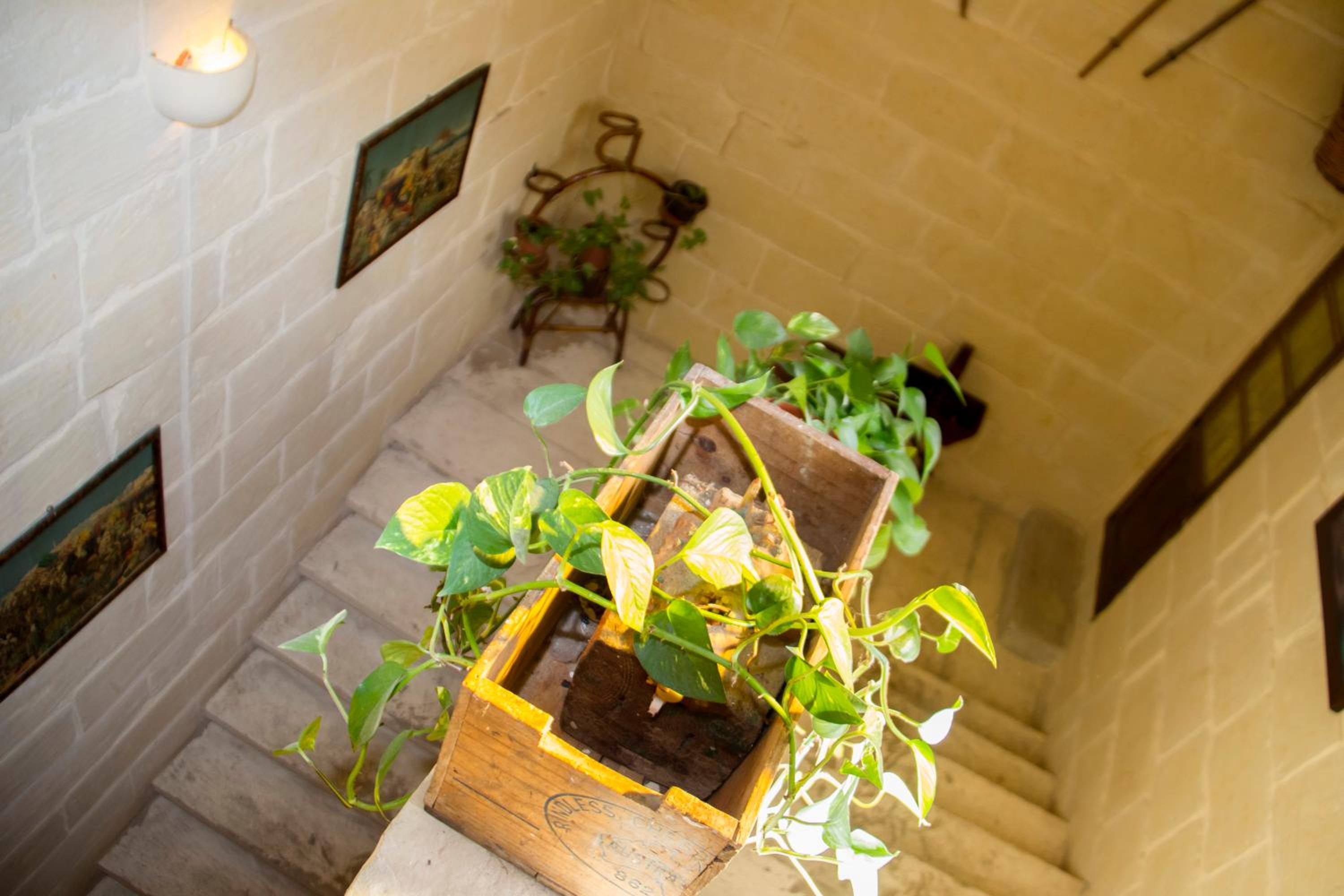 Photo 45