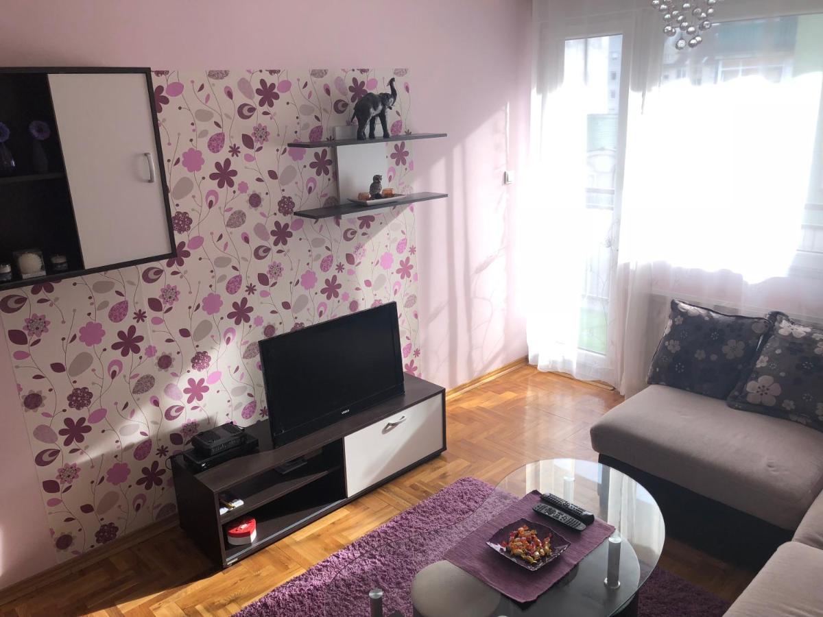 Apartman Ivana view 4