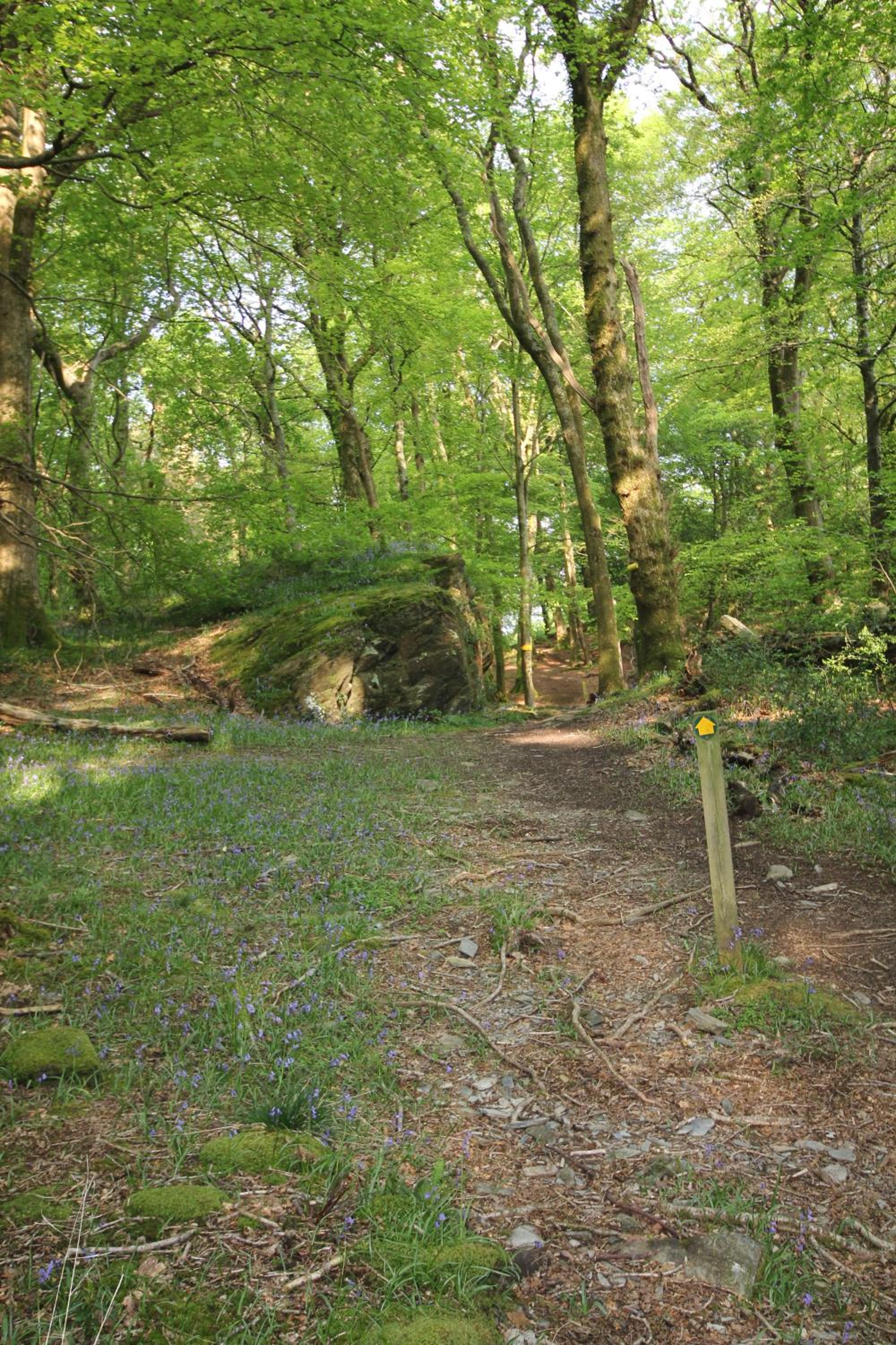 Photo 45