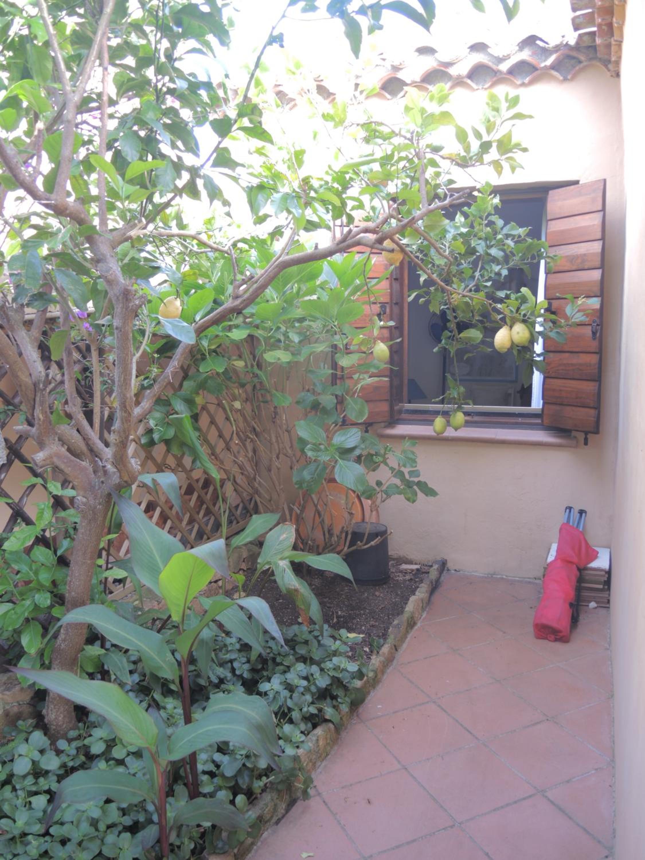 Photo 28
