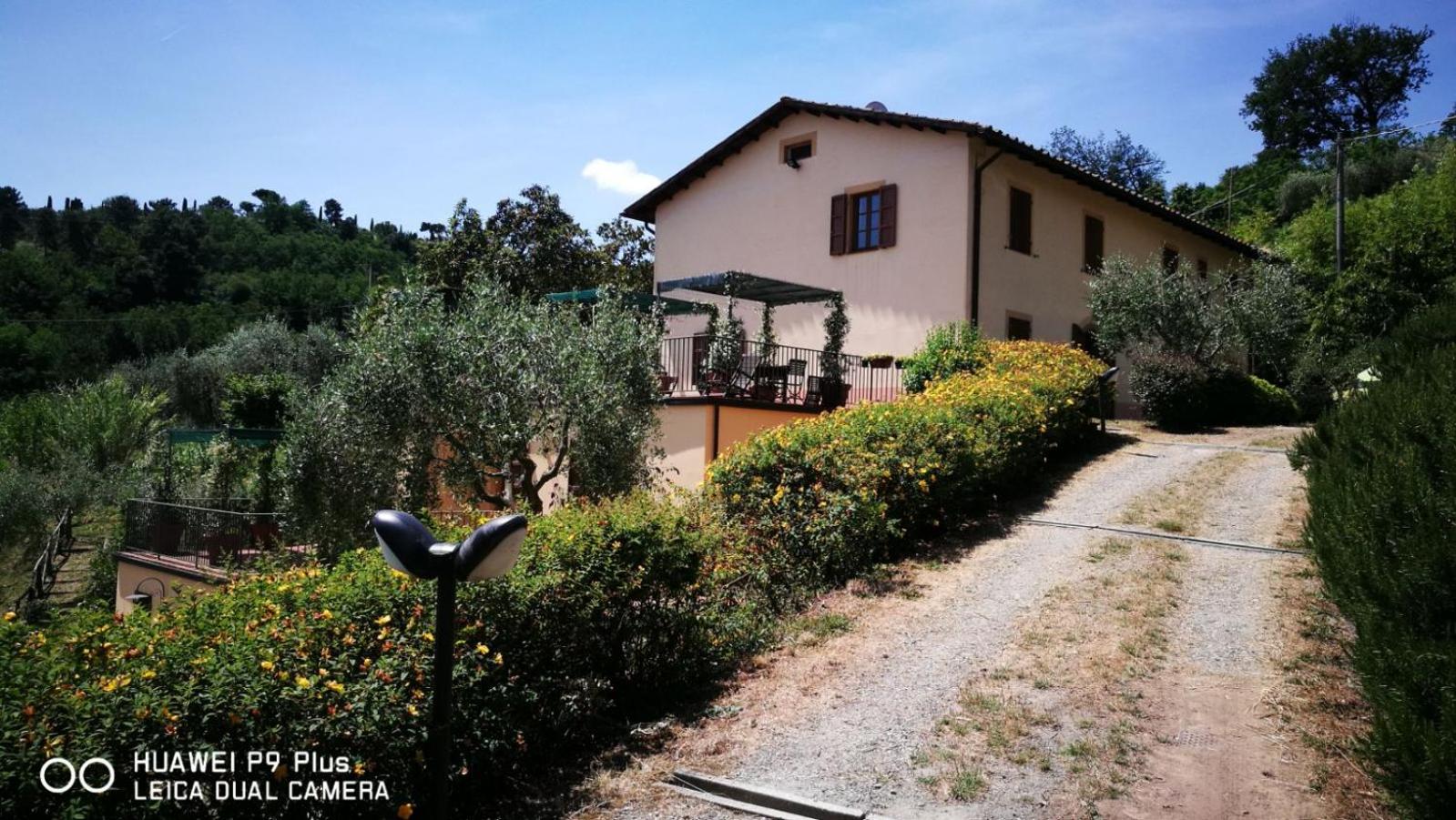 Tenuta degli Obizzi