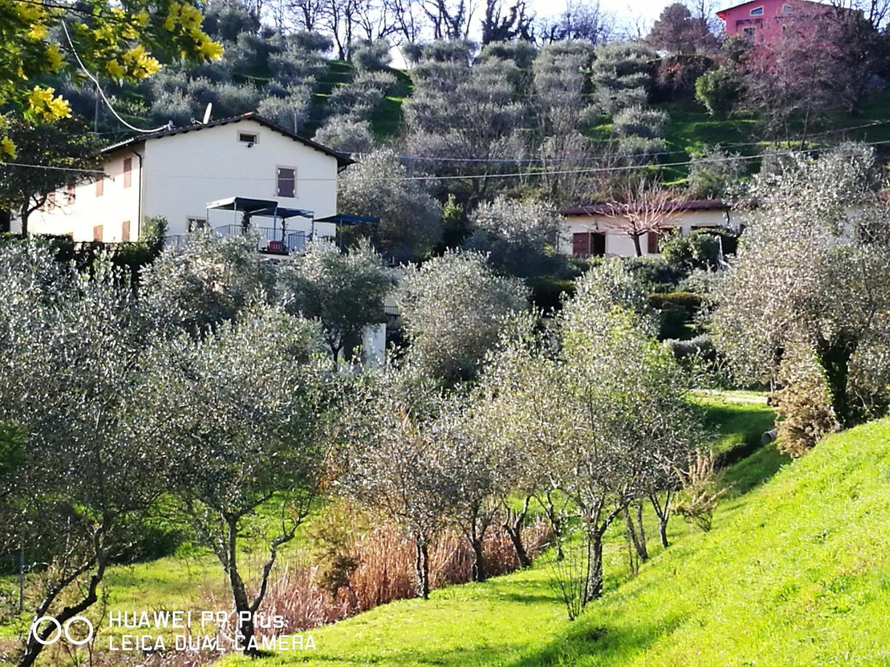 Tenuta degli Obizzi