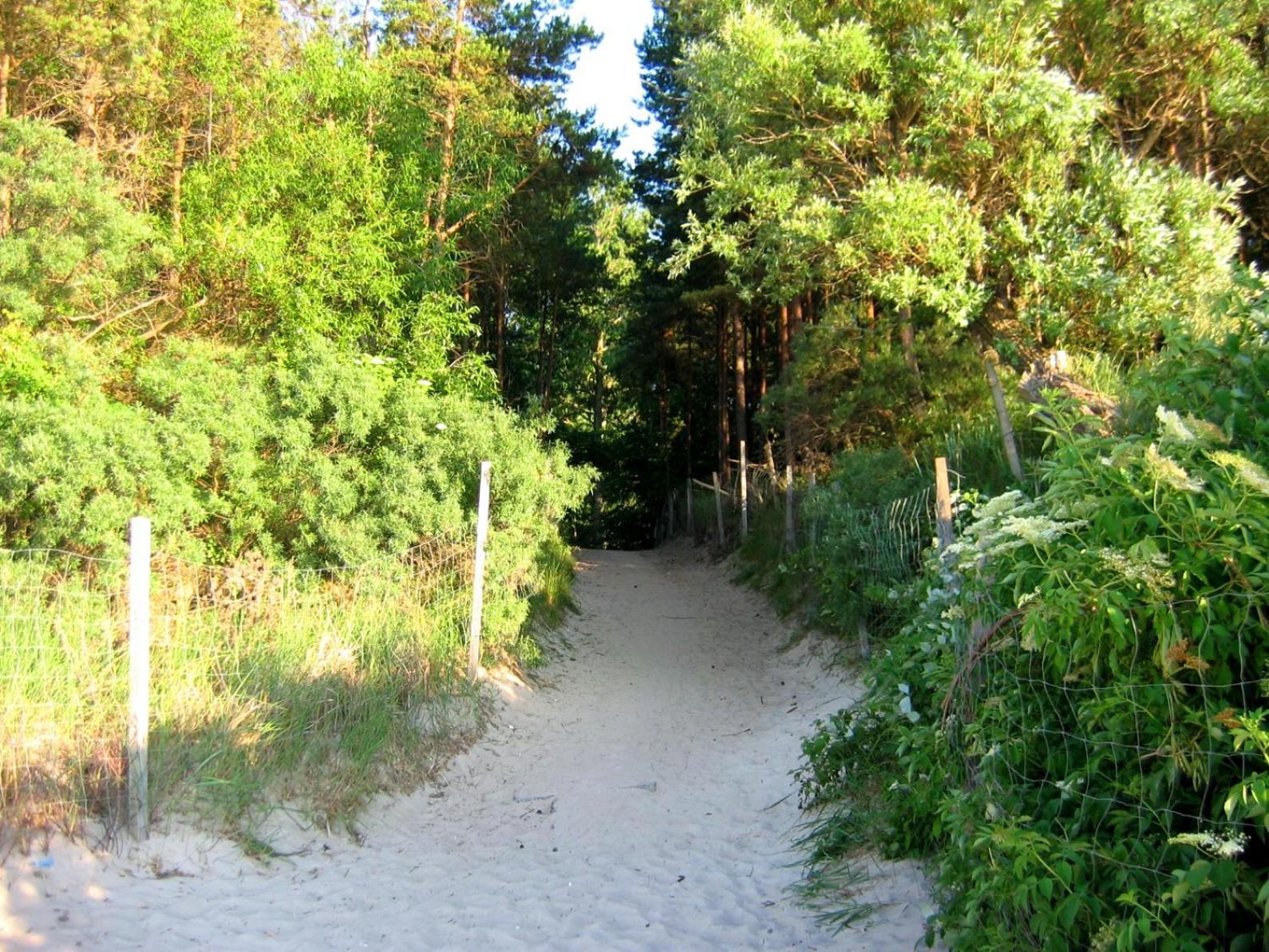 Photo 26