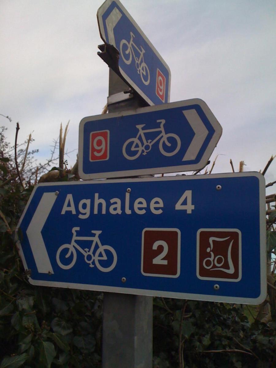 Photo 42
