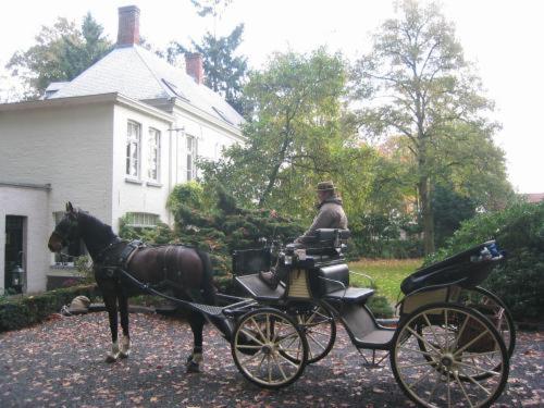 Bruges Vacations - BB 't Wit Huys Brugge - Property Image 22