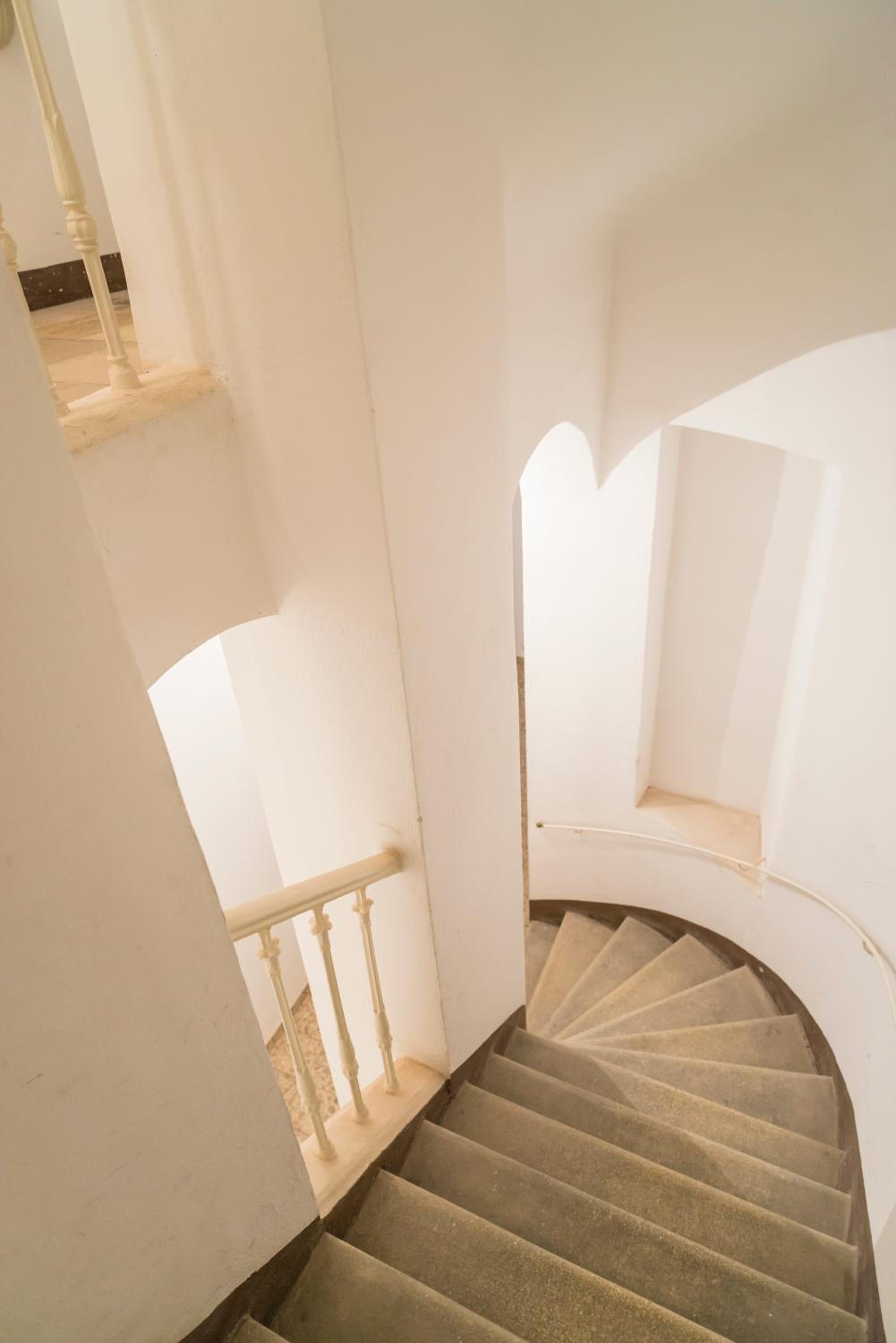 Belvedere Suite