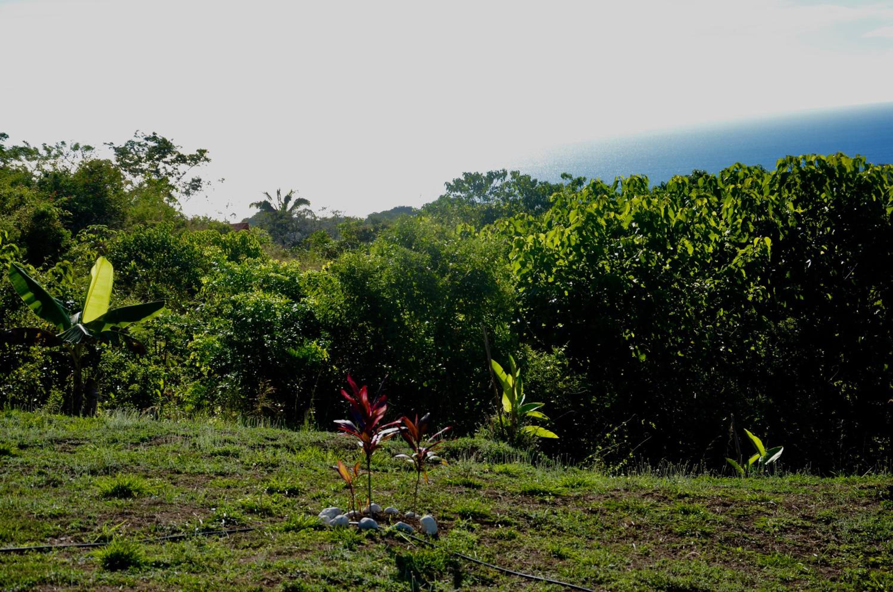 Casa Guajira