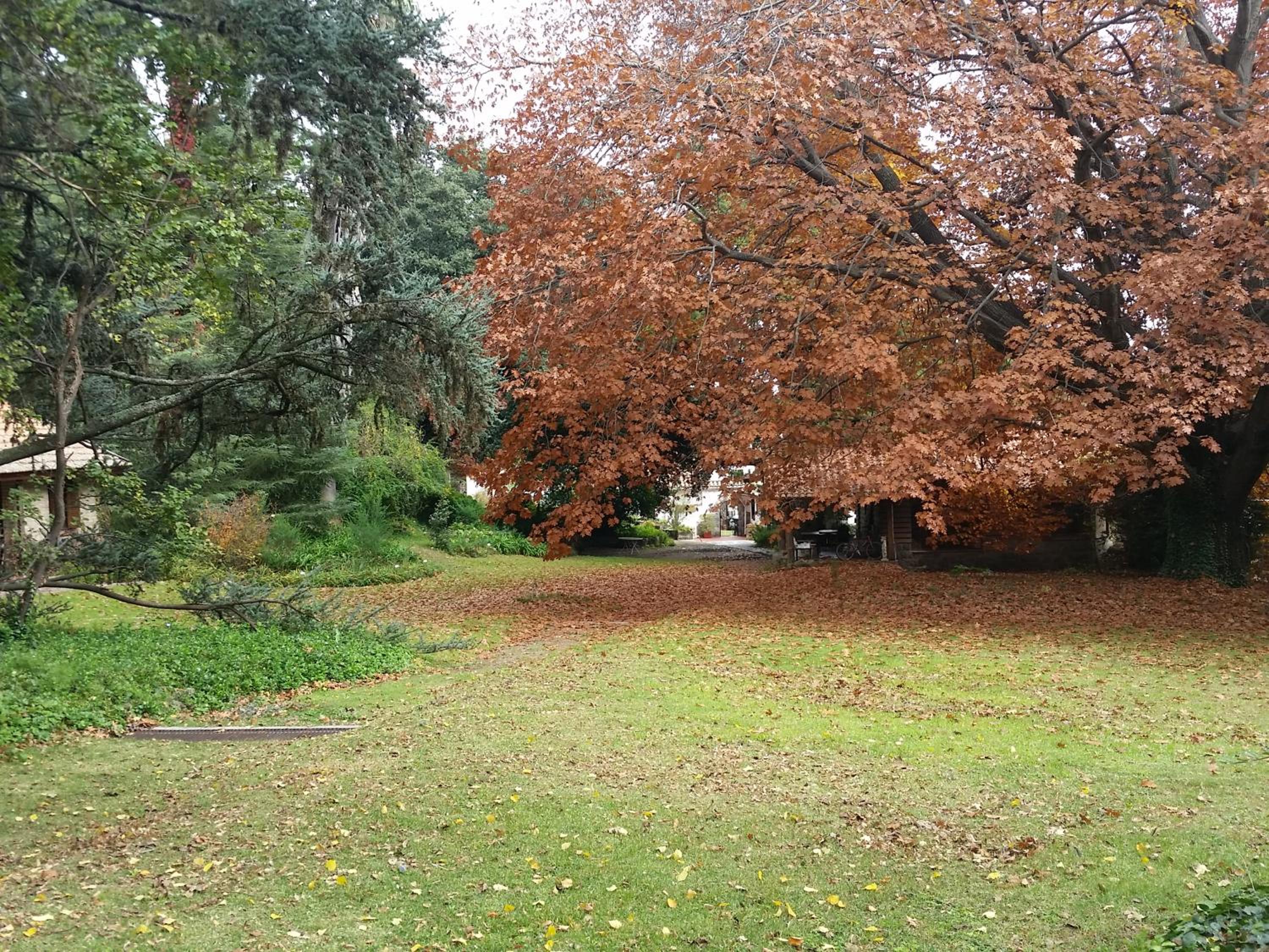 Eden Park Cordoba