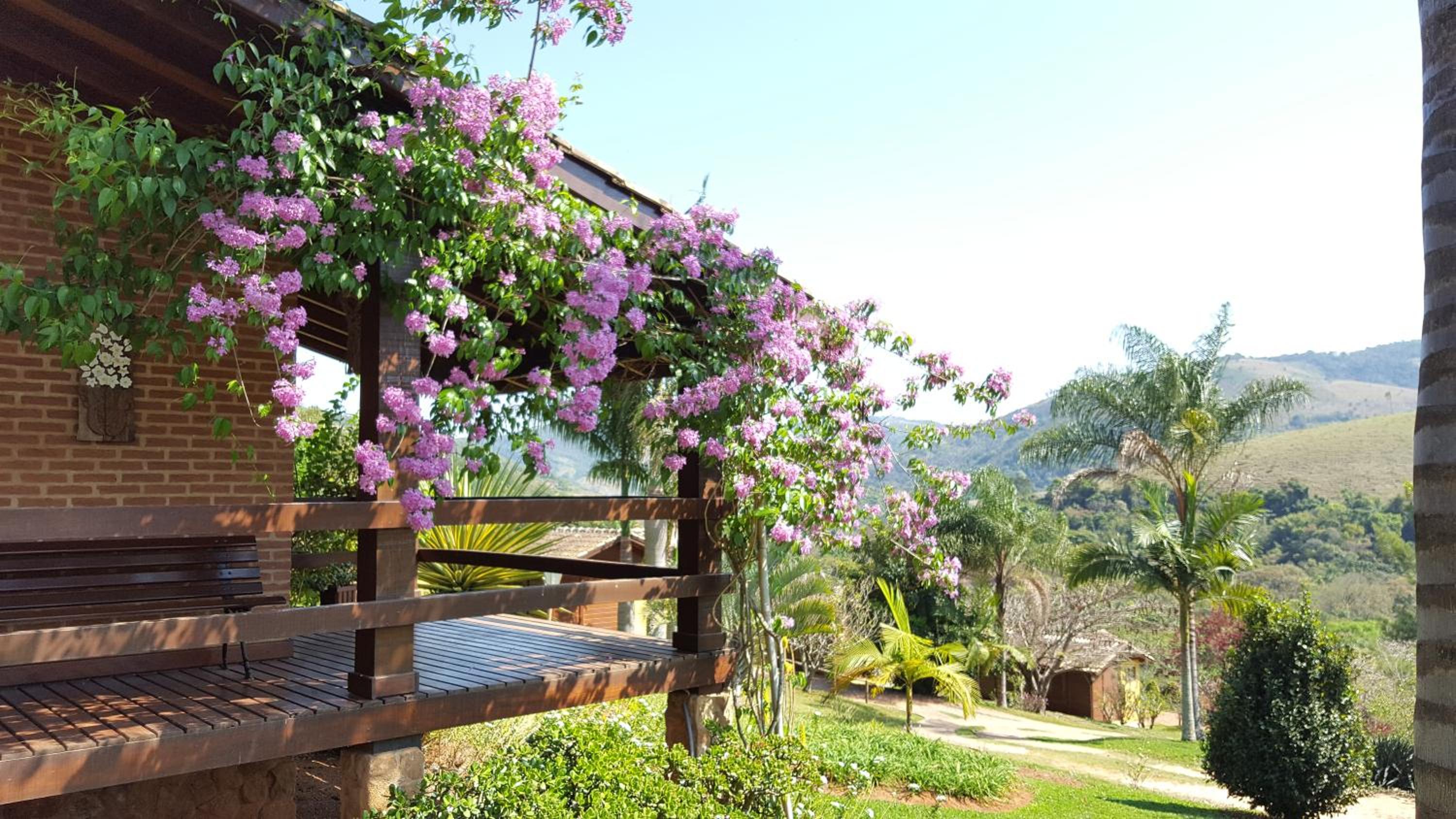 Outdoor Space