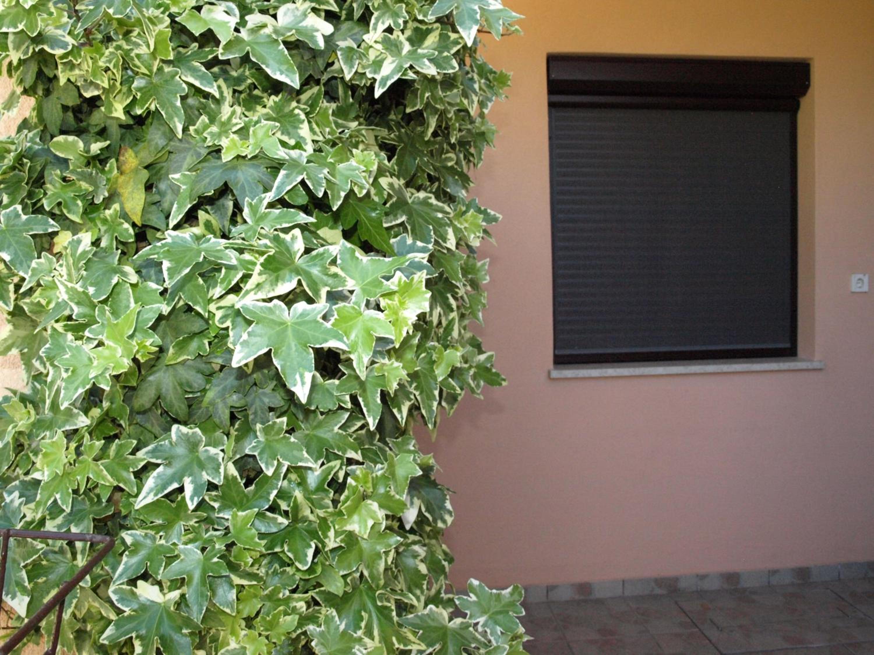 Apartman Celestina view 5