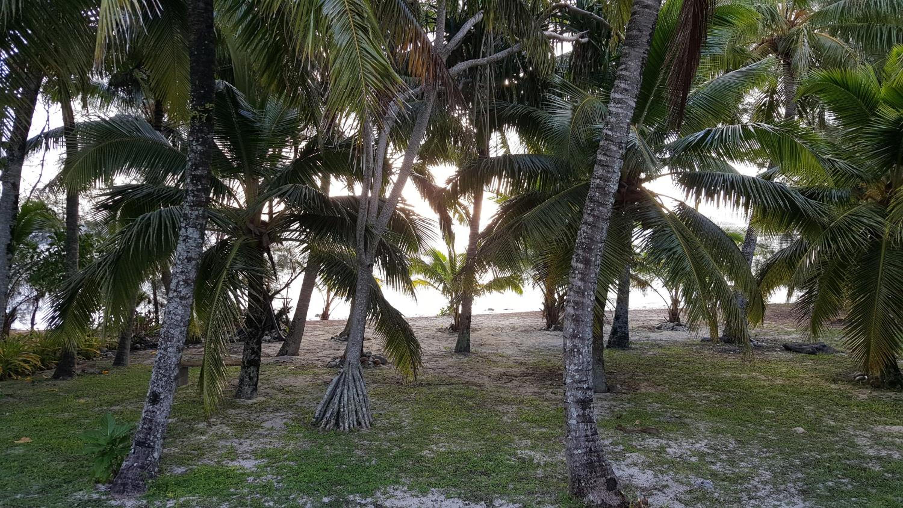 Oronga Beach