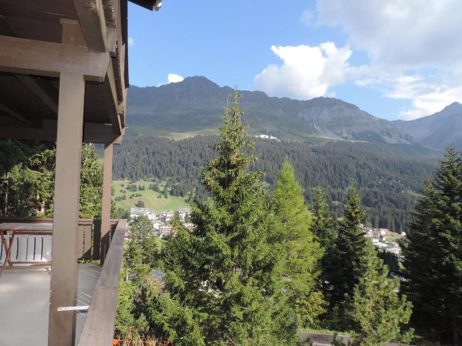 Photo 14