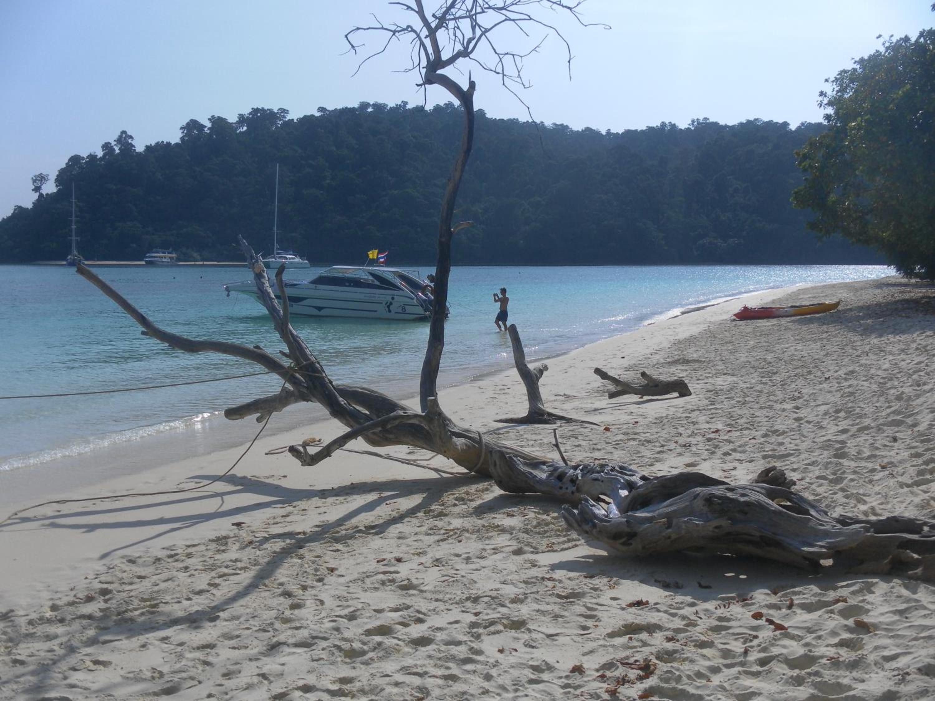 Mr. Clean Guesthouse view 5