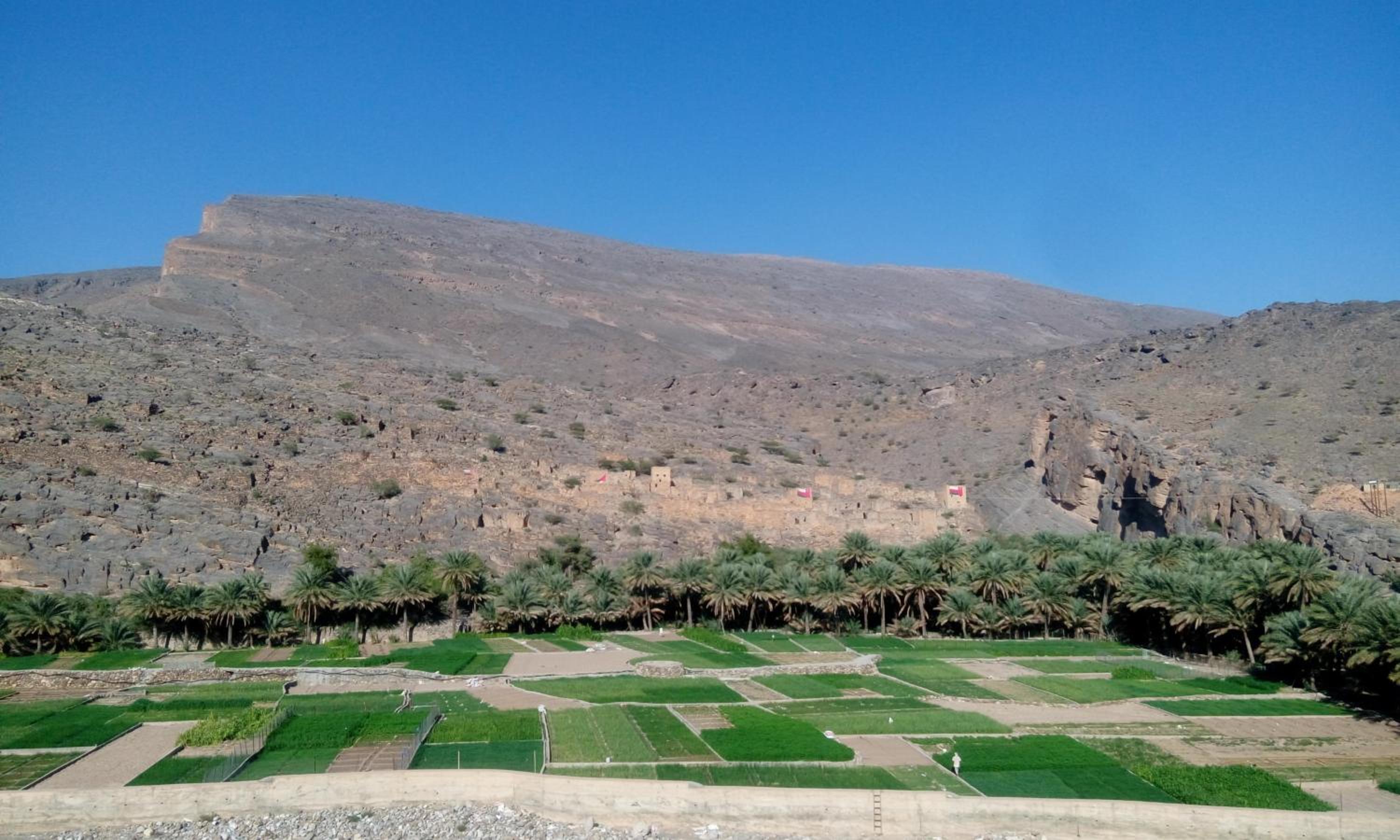 Al Hamra Guest House view 2
