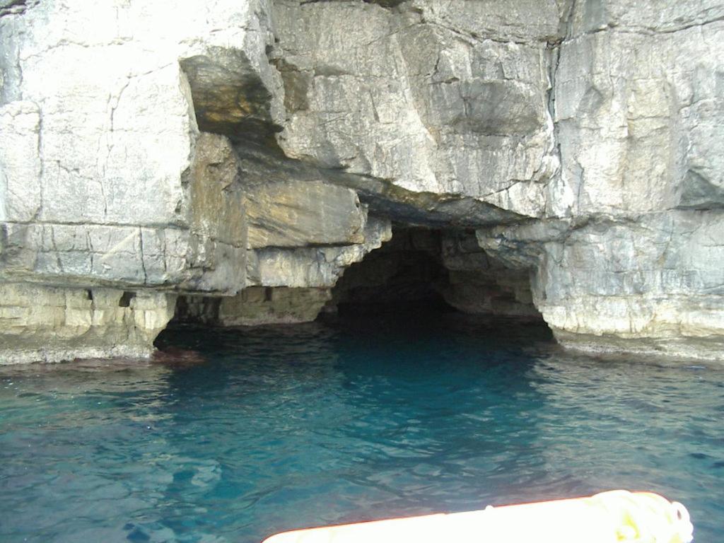 Casa del Pino