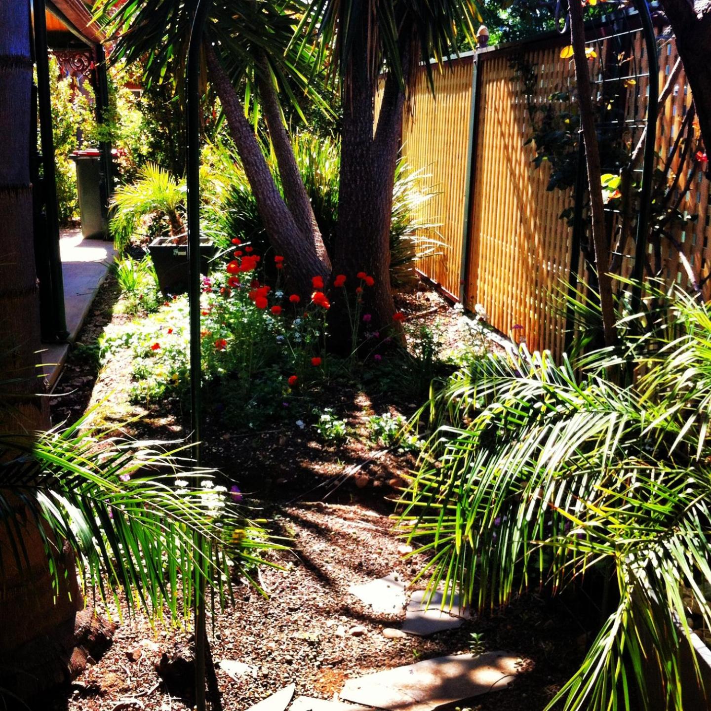 Barossa Dreams