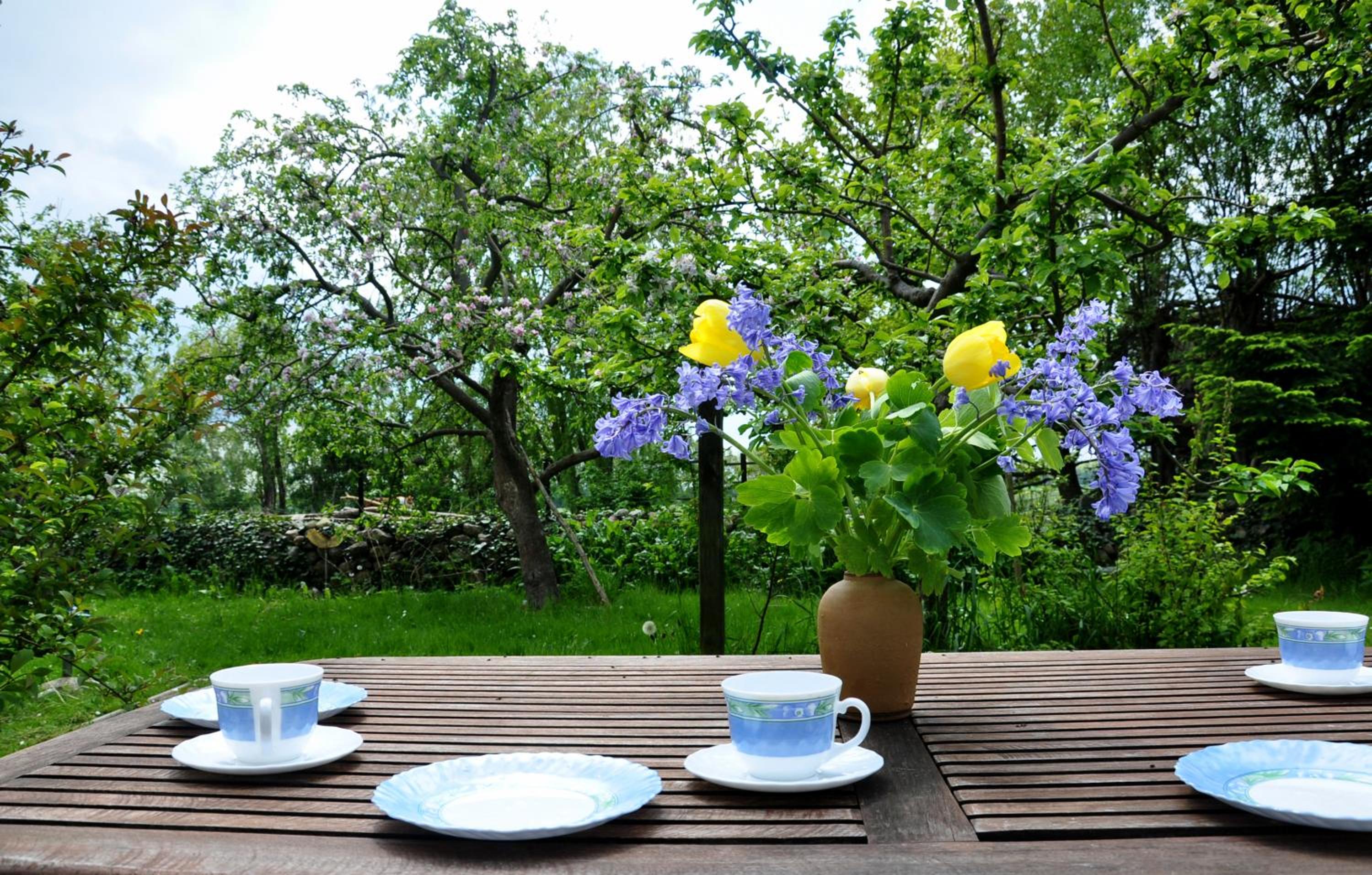 Sommerferienhaus