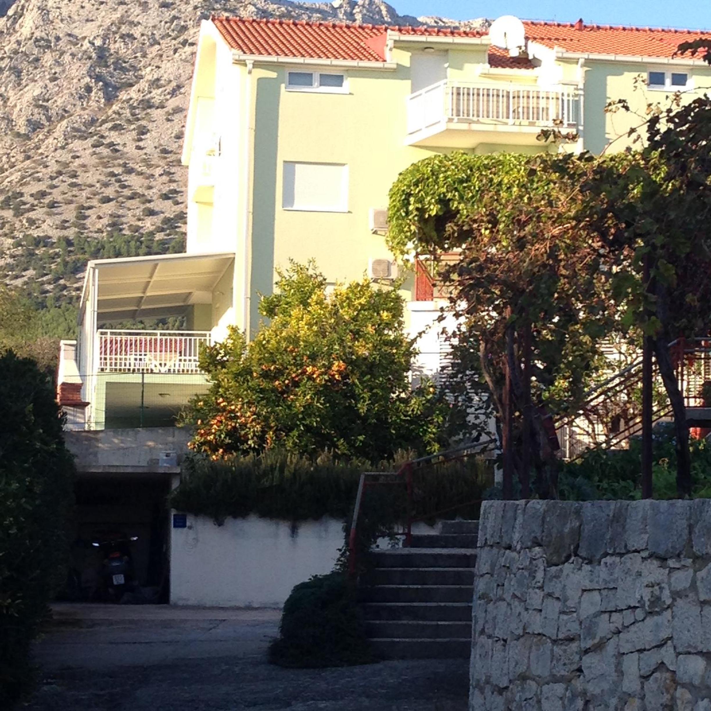 Photo 11